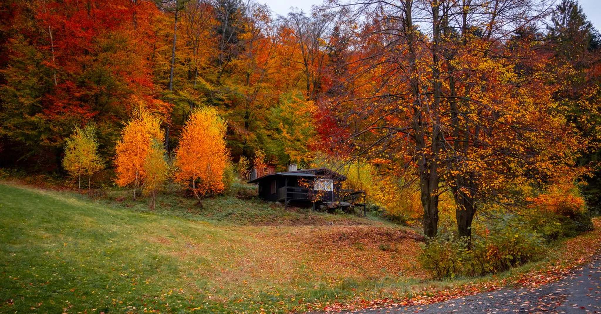 Columbus Day Weekend 2026 in Mineola: East Texas Cabin Getaways