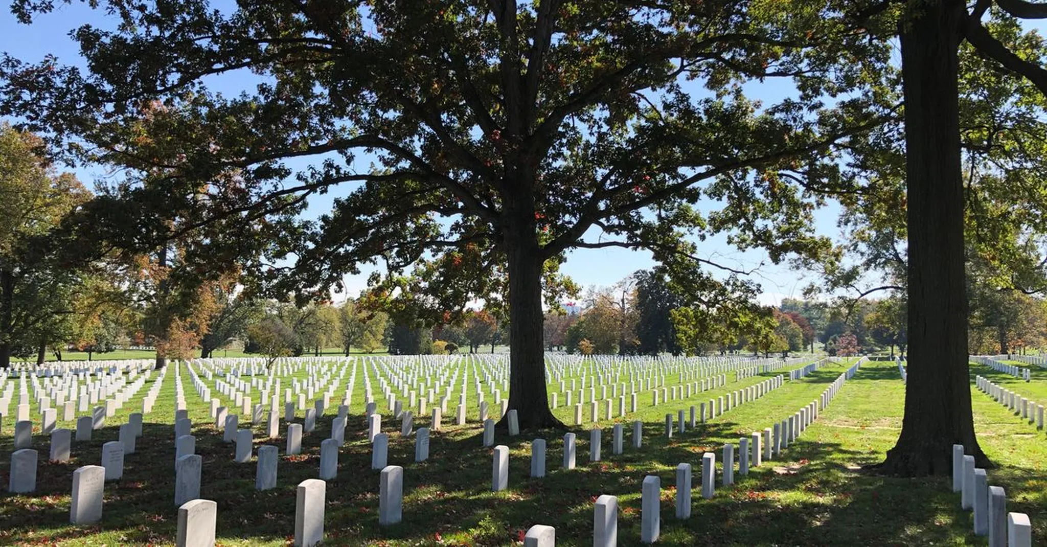 Veterans Day in Arlington 2026: Cemetery Ceremonies, DC Memorials & Where to Stay