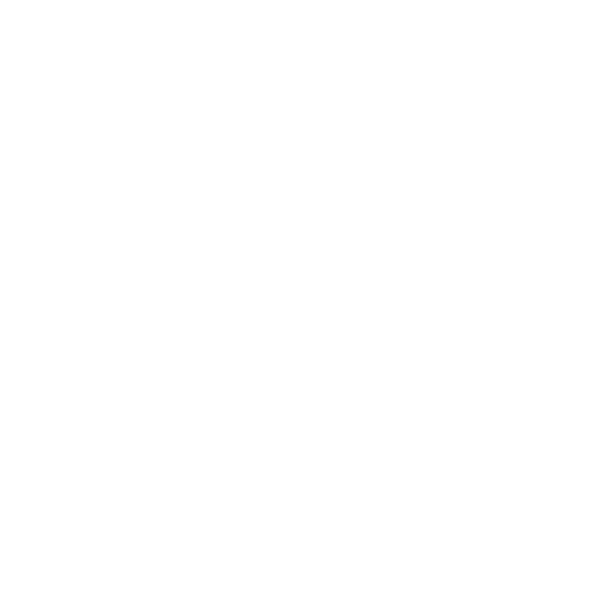 escapesfromcrazytown logo