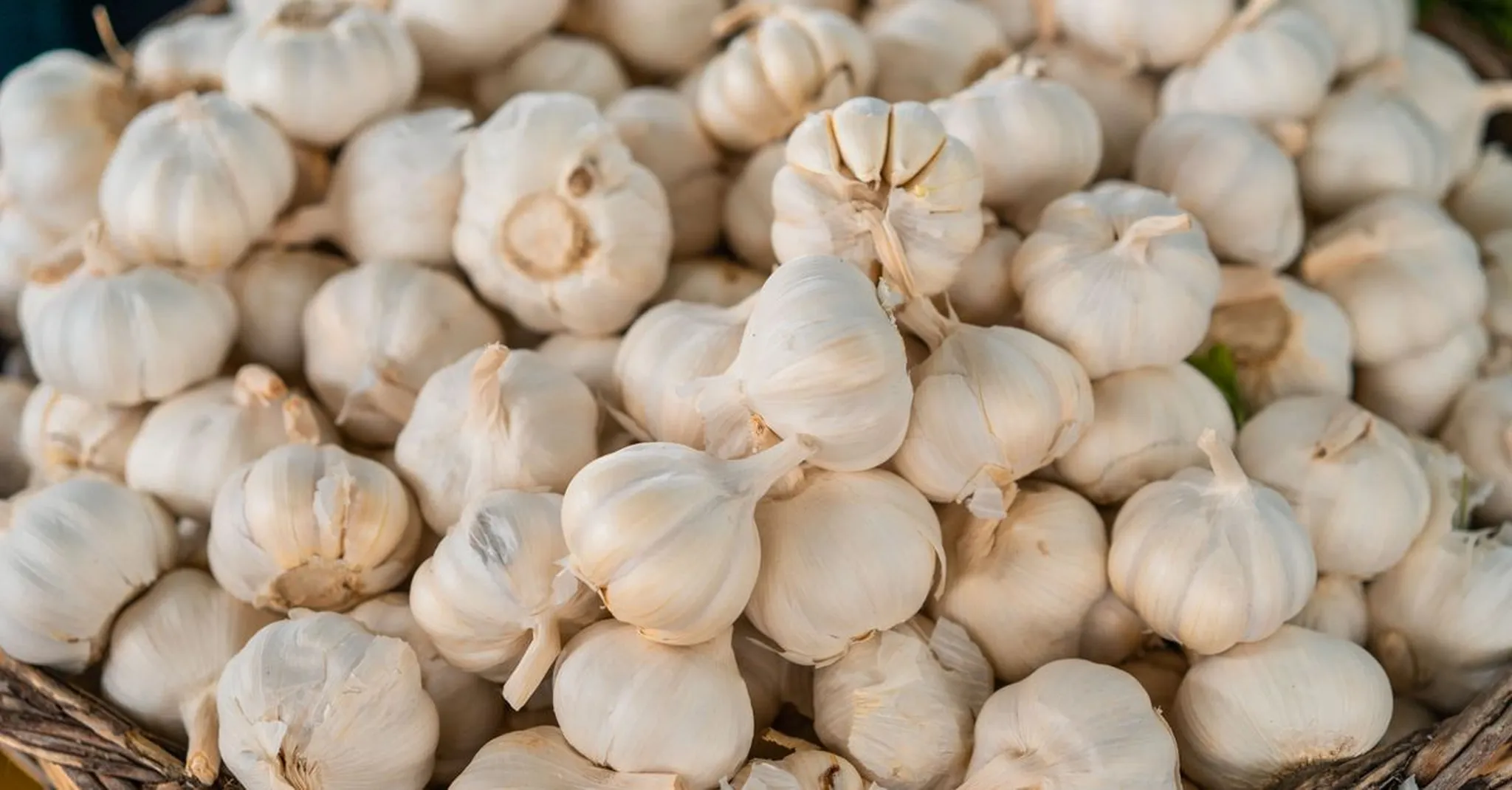 Delray Beach Garlic Fest 2026: Where to Stay and What to Eat