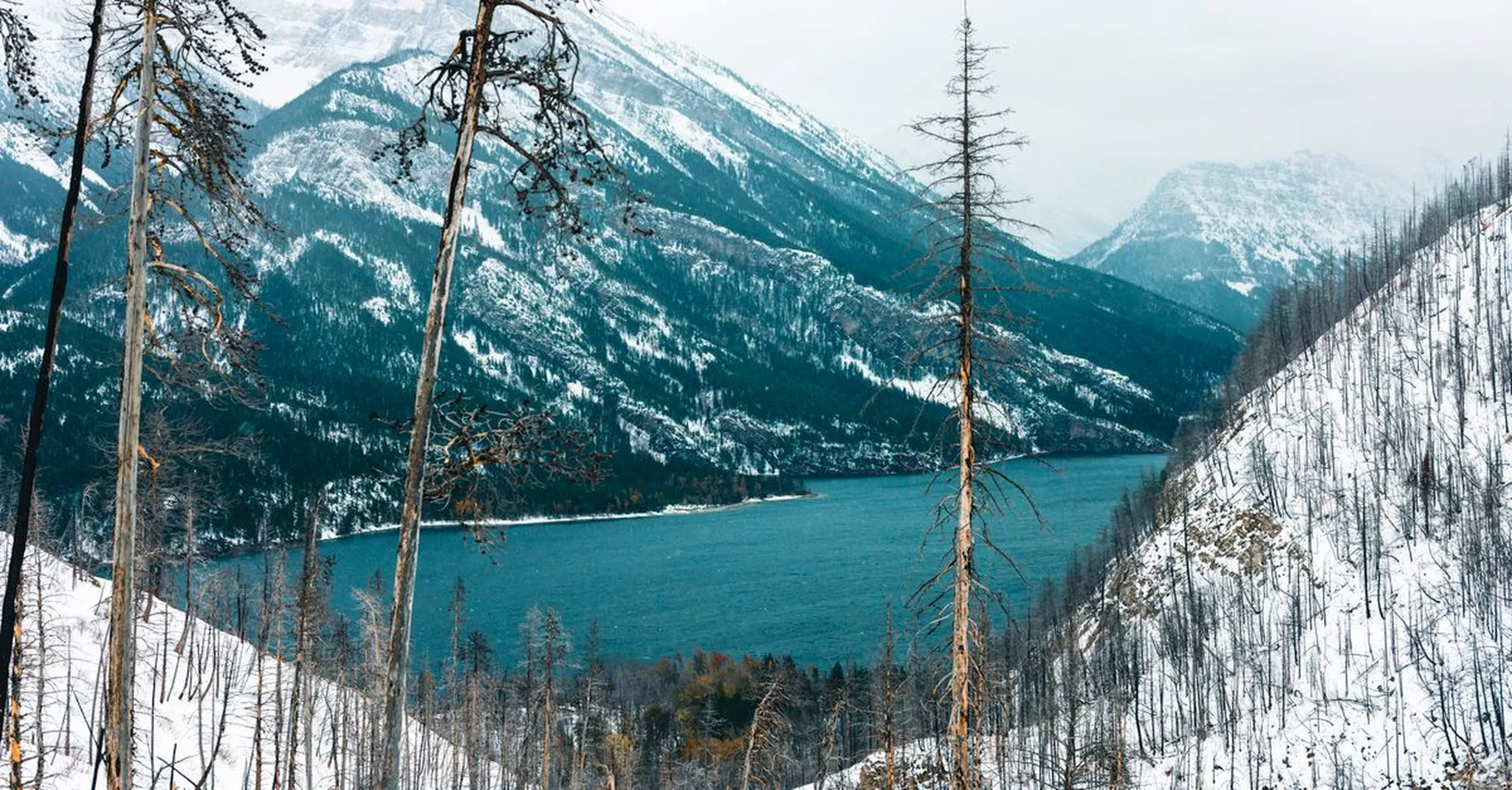 Cabins Near Glacier National Park: Choosing the Right West Glacier Chalet