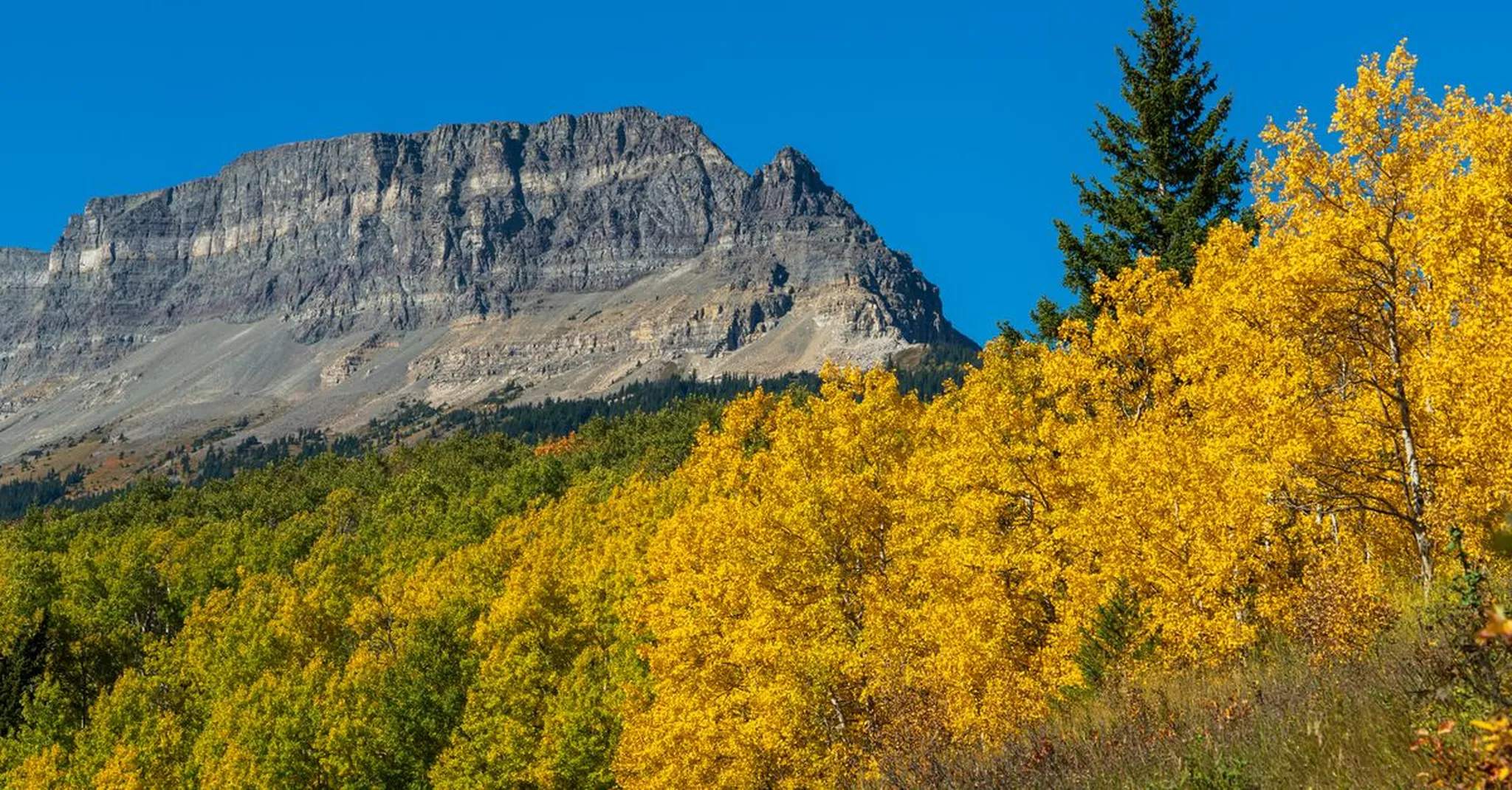 National Take a Hike Day 2026: Best Fall Trails in Glacier National Park