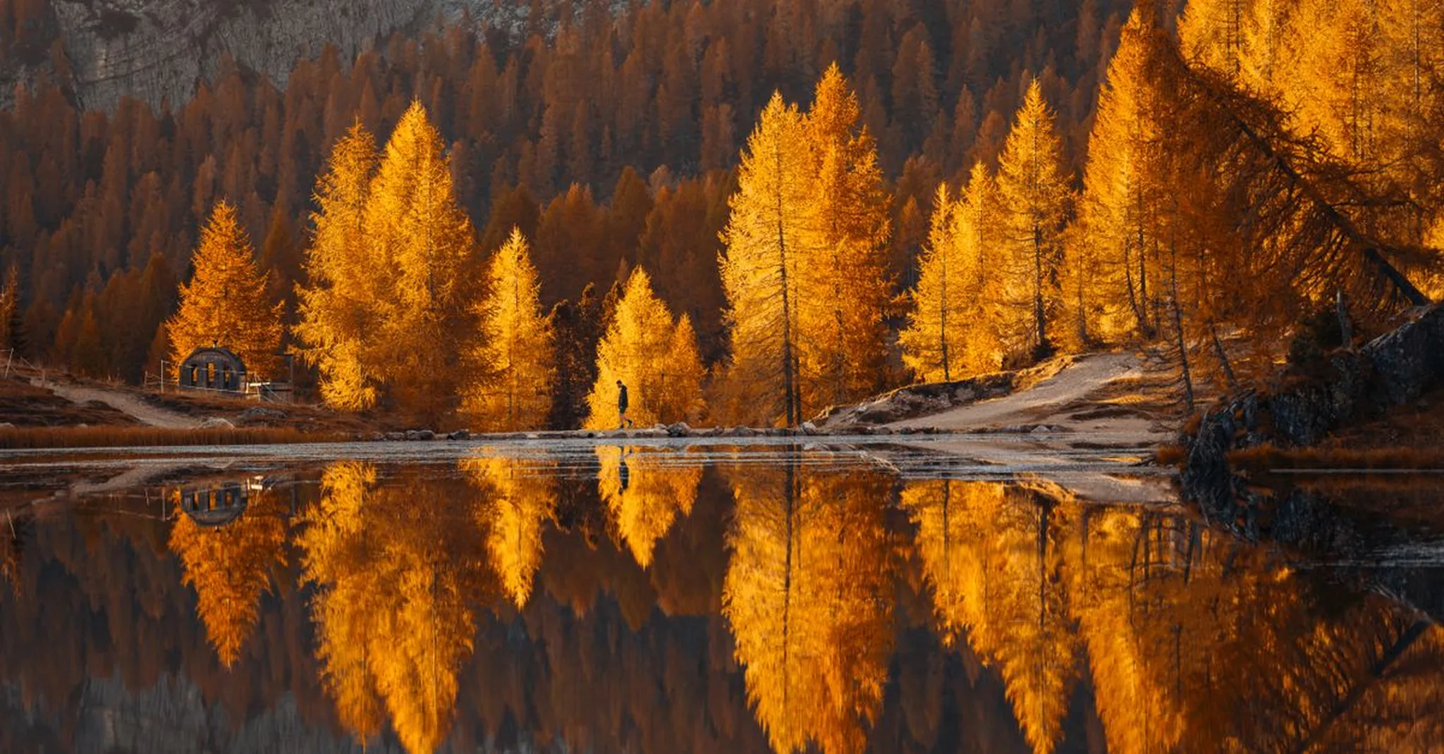 Fall Larch Season in Glacier National Park 2026: Where to Stay in West Glacier