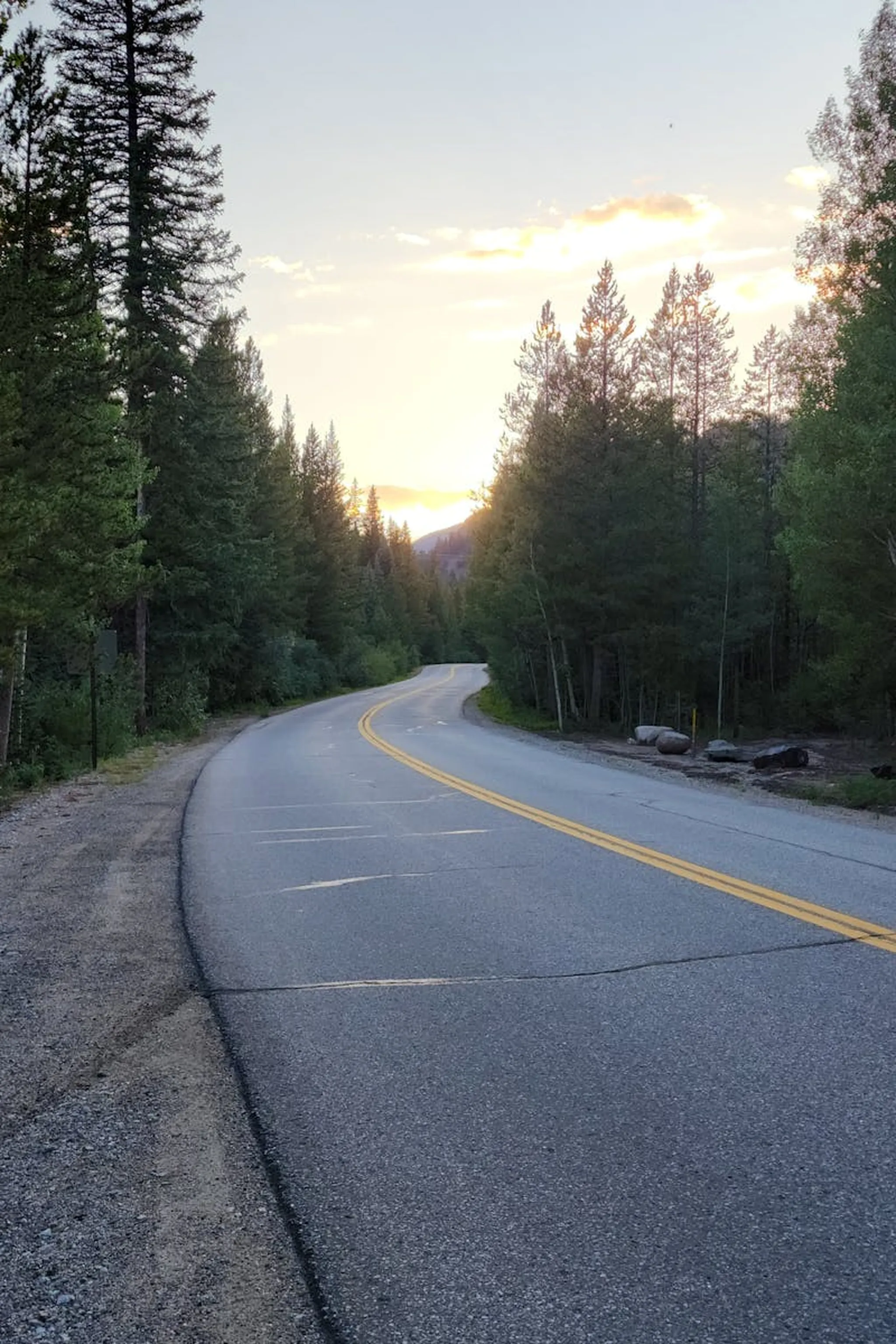 Winding road through lush forest at sunset, perfect for travel exploration.