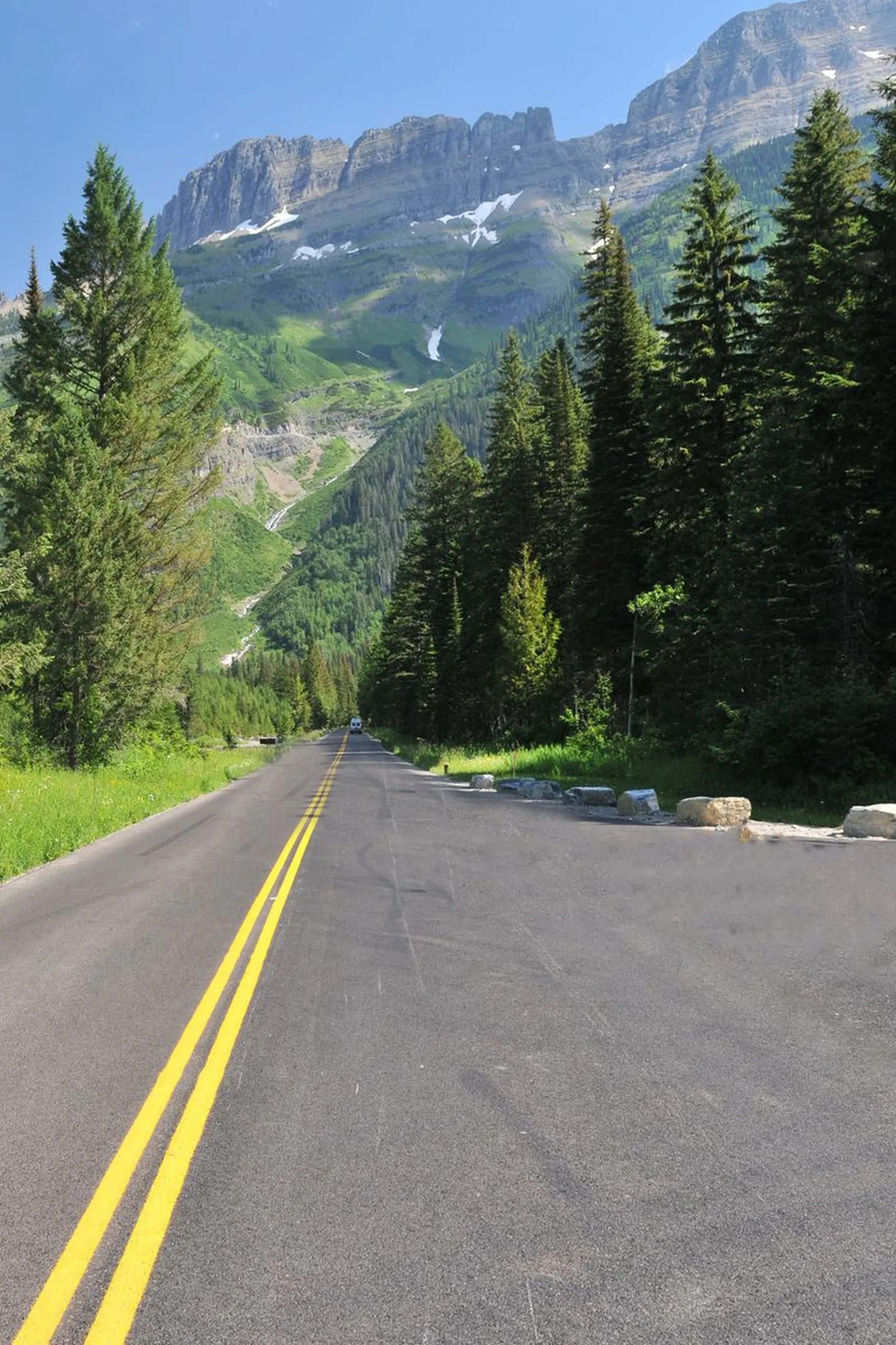 Aspen-lined road leading towards majestic mountains under a clear blue sky.