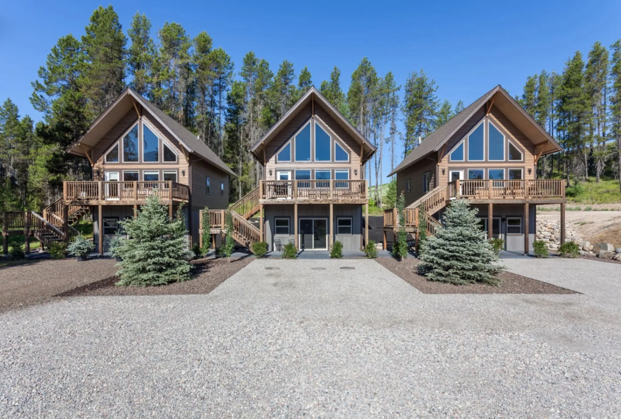 Three modern cabins with large windows and decks are nestled amongst pine trees.