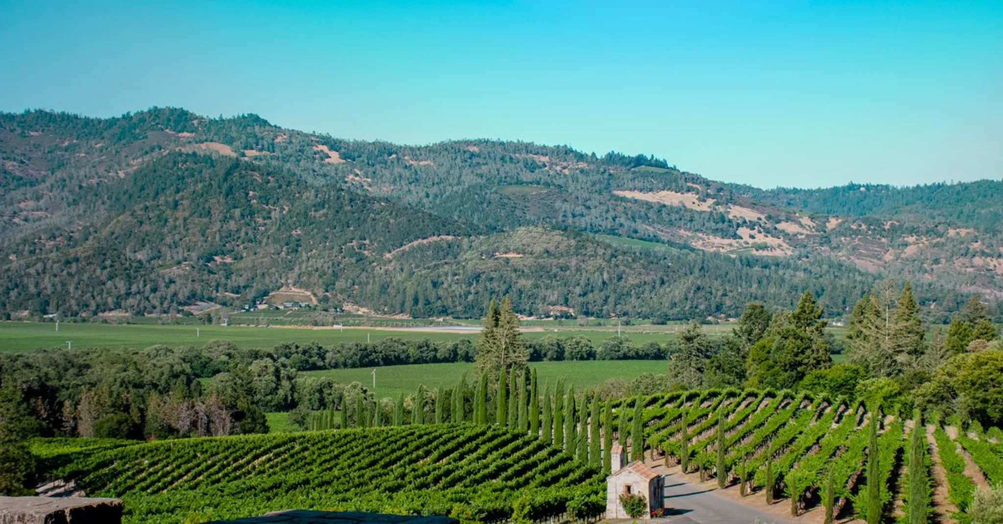 Cambria Wine Harvest 2026: Central Coast Tasting Rooms & Where to Stay