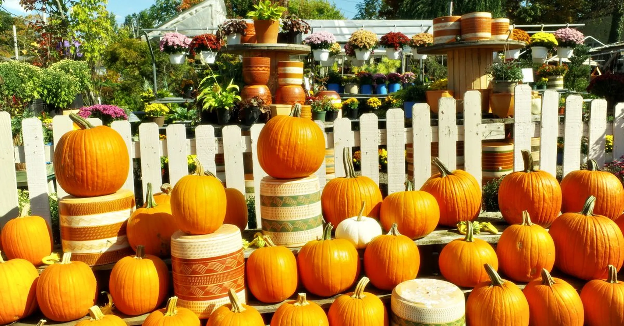 Cheekwood Harvest 2026: Nashville's Pumpkin Village, Fall Blooms and Where to Stay