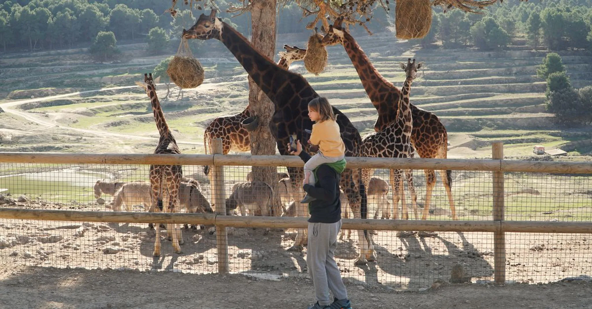 Family Weekend in West Palm Beach: Palm Beach Zoo & Cox Science Center