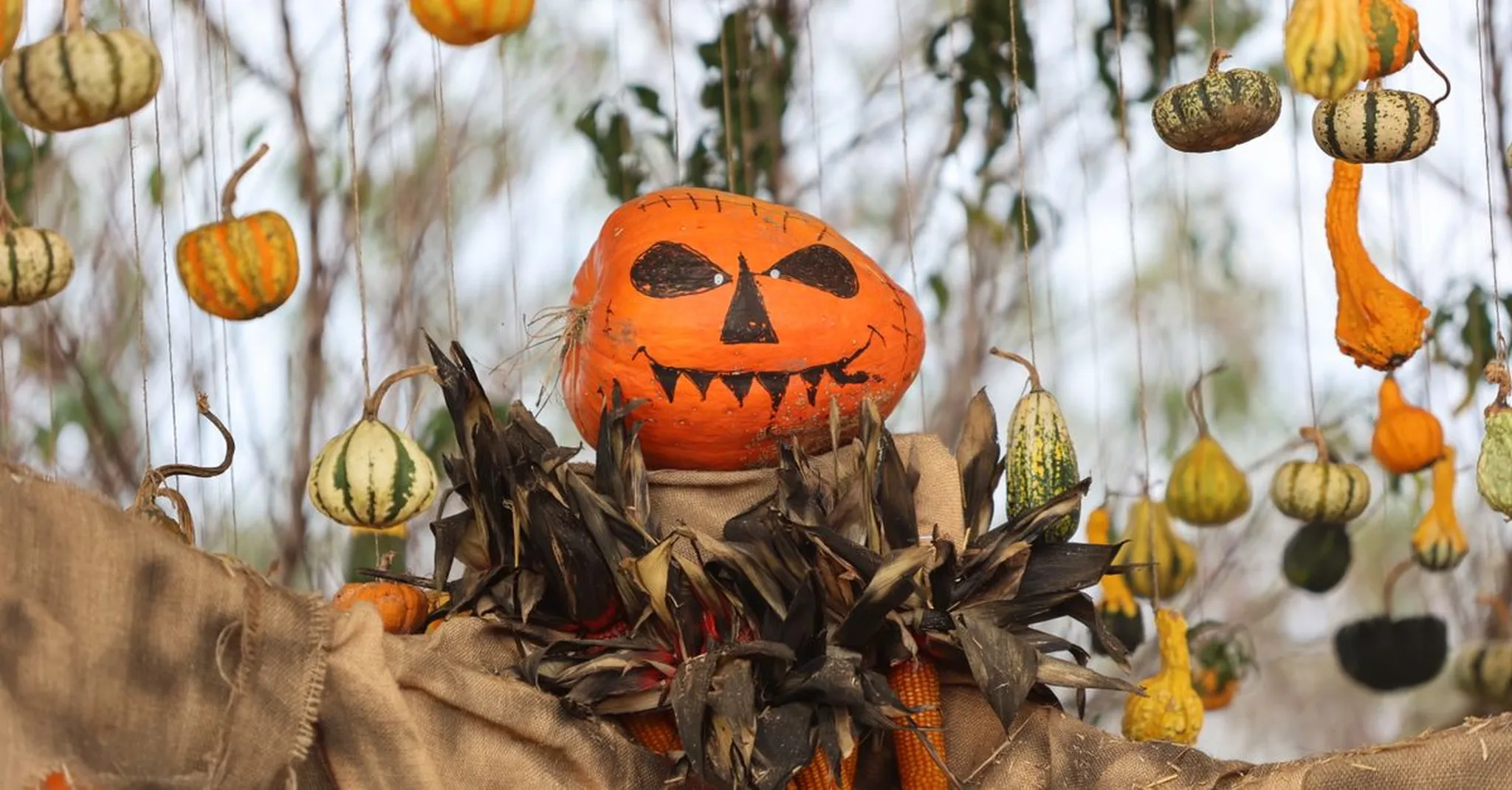 Halloween Scottsdale 2026: Fall Events and Where to Stay in Paradise Valley