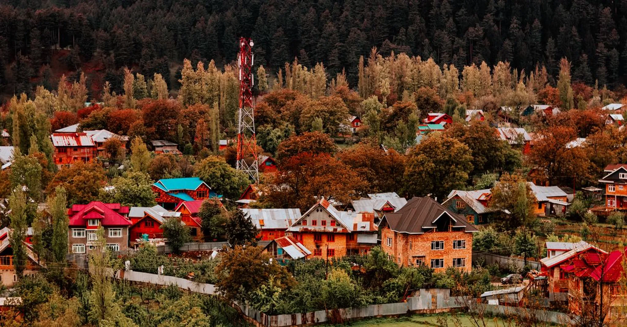Thanksgiving in Highlands NC 2026: A Cozy Mountain Holiday Weekend Guide