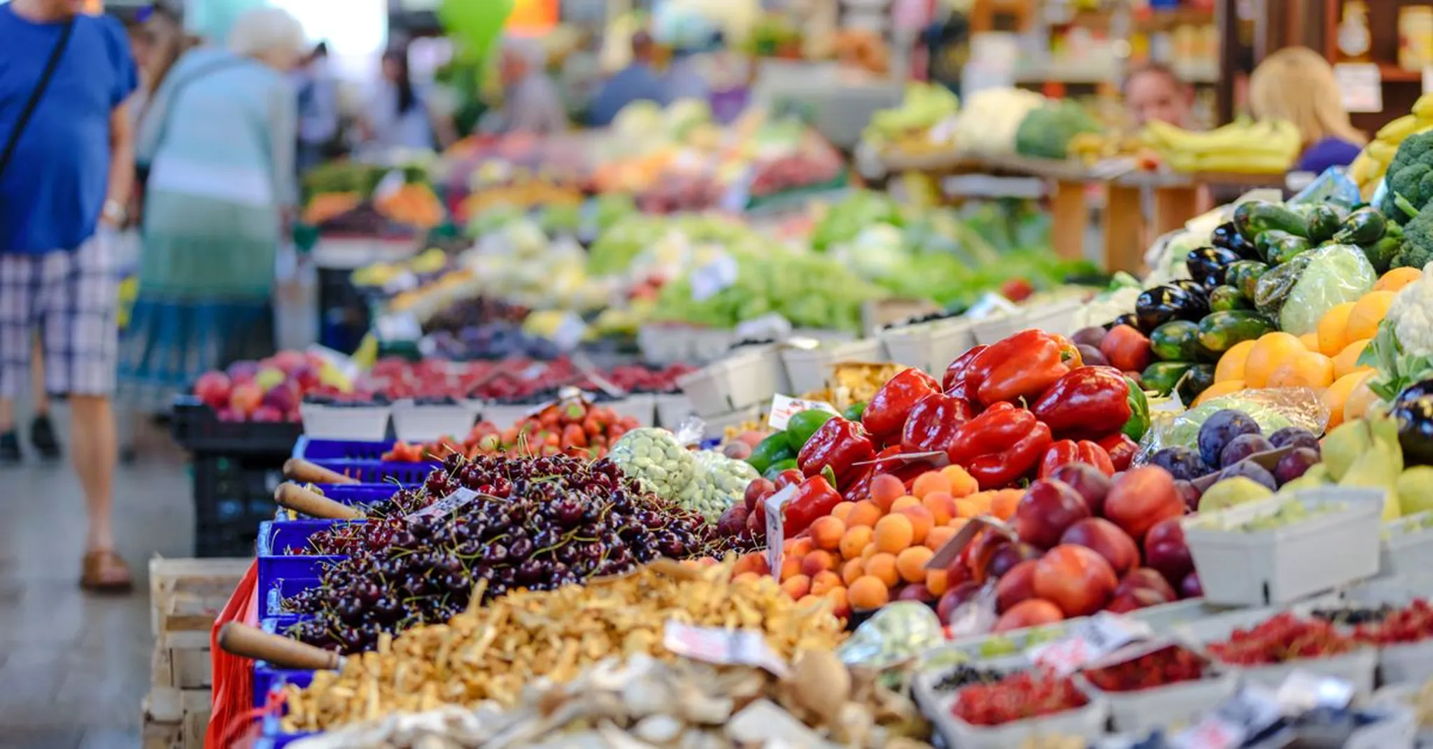 West Palm Beach GreenMarket Returns October 2026: Foodie Weekend Guide and Stays