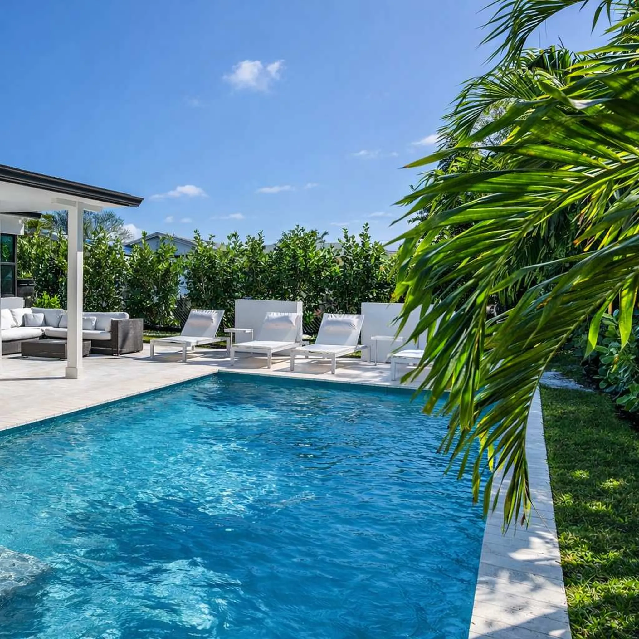 Backyard pool with lounge chairs surrounded by green landscaping