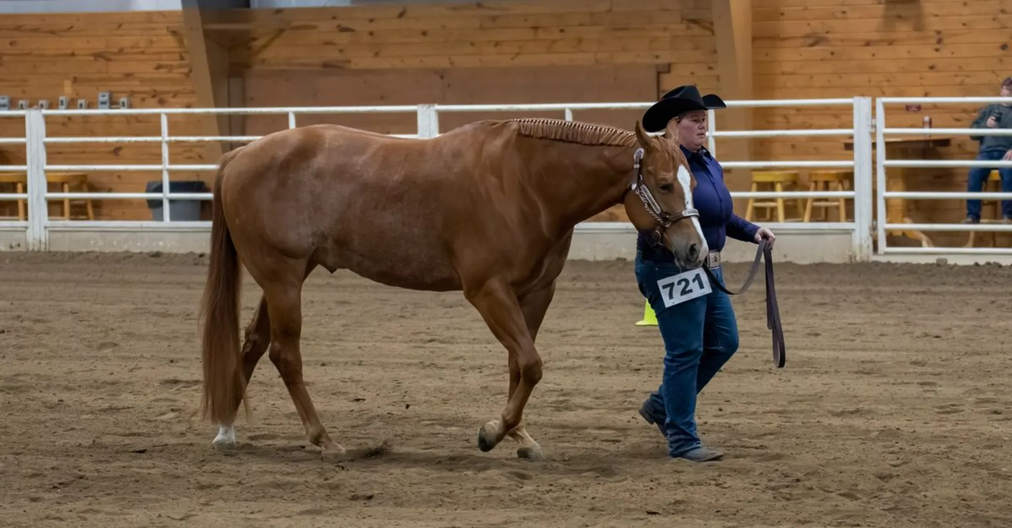 Quarter Horse Congress 2026 Lodging Columbus Guide: Where to Stay