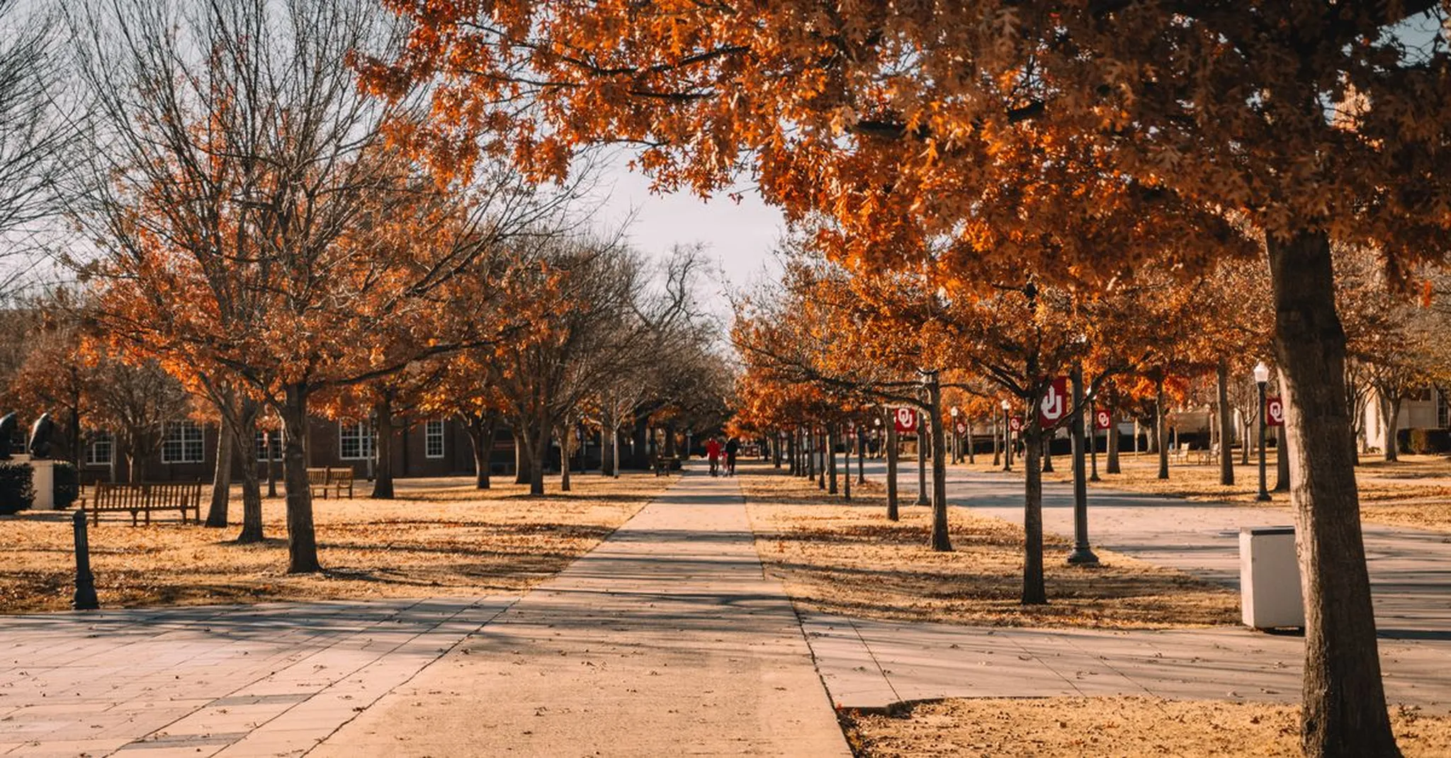 Ohio State Homecoming Weekend 2026: Where to Stay Near Campus in Columbus
