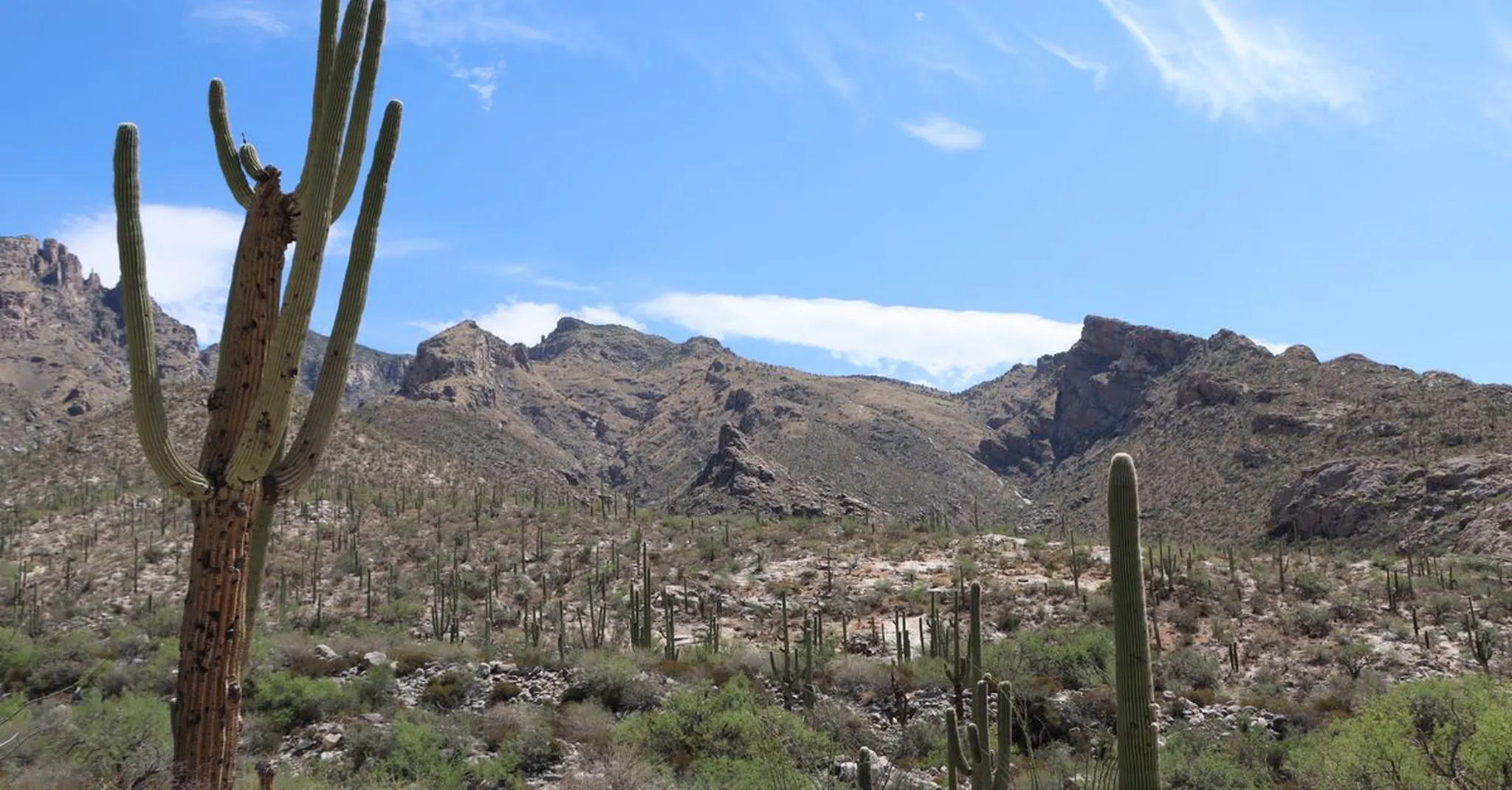 Labor Day Weekend in Tucson 2026: Desert Adventures & Where to Stay