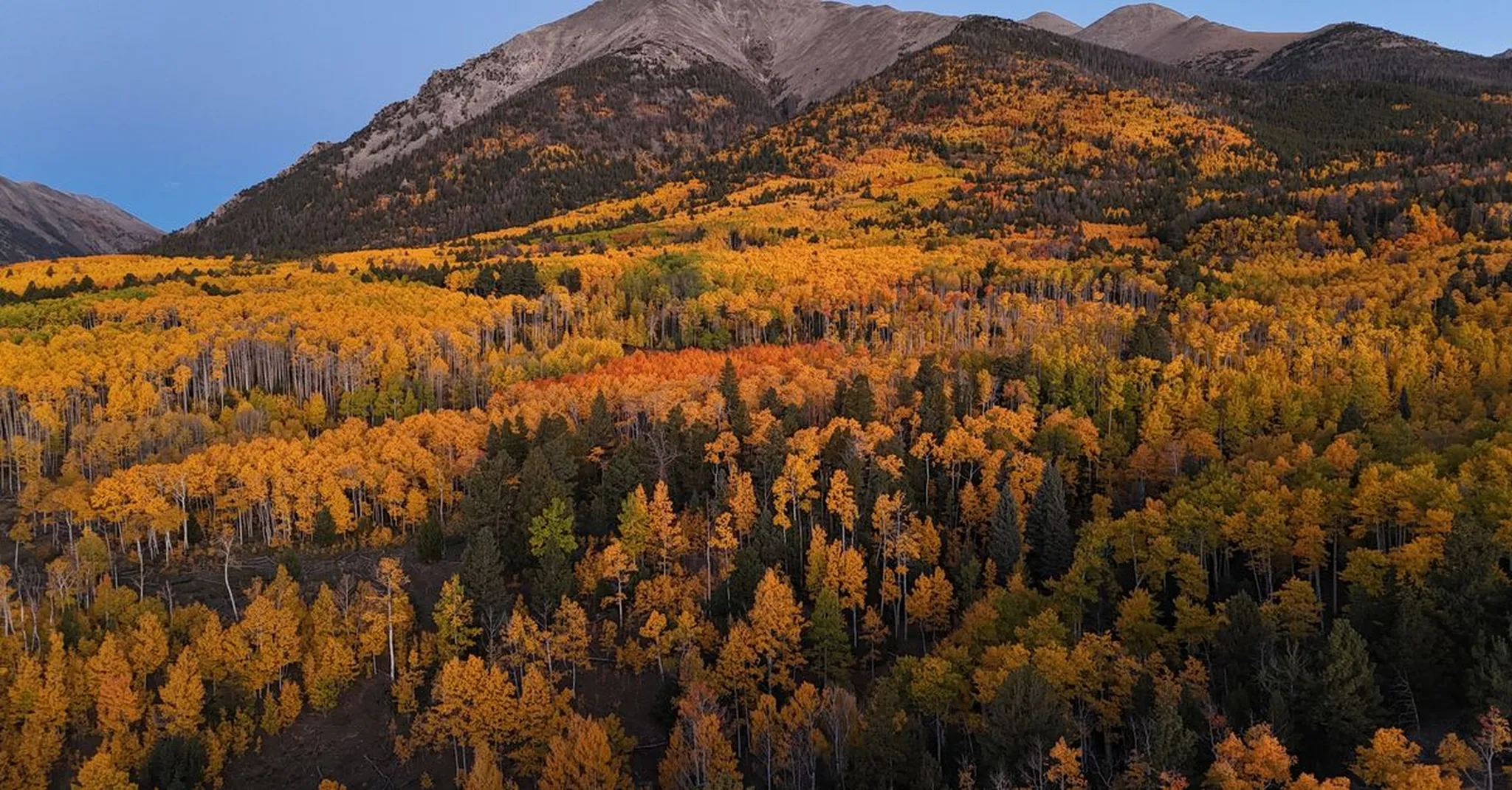 Aspen Peak Colors Season 2026 Near Colorado Springs: Scenic Drives & Stays