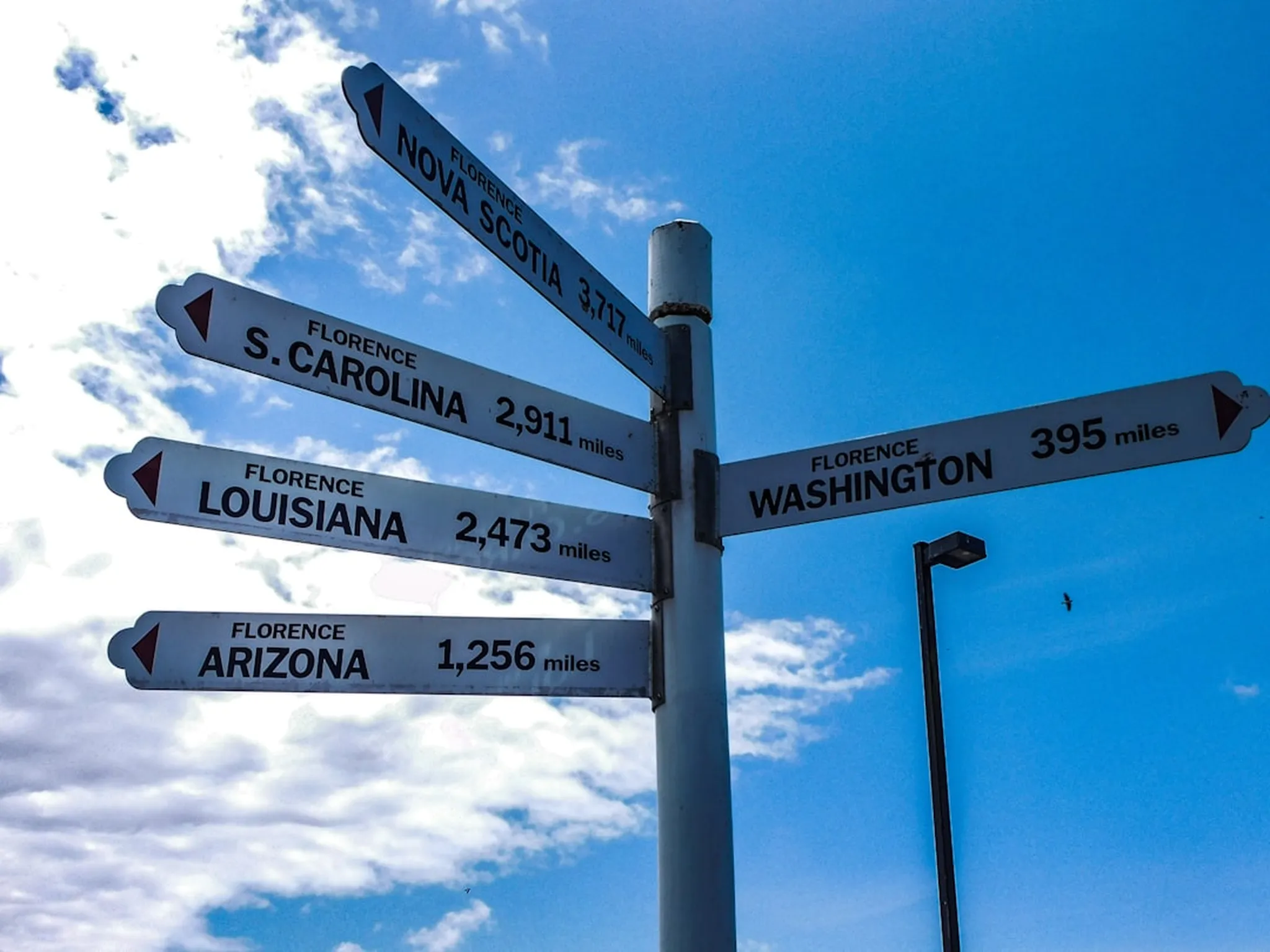 a pole with a bunch of street signs on it