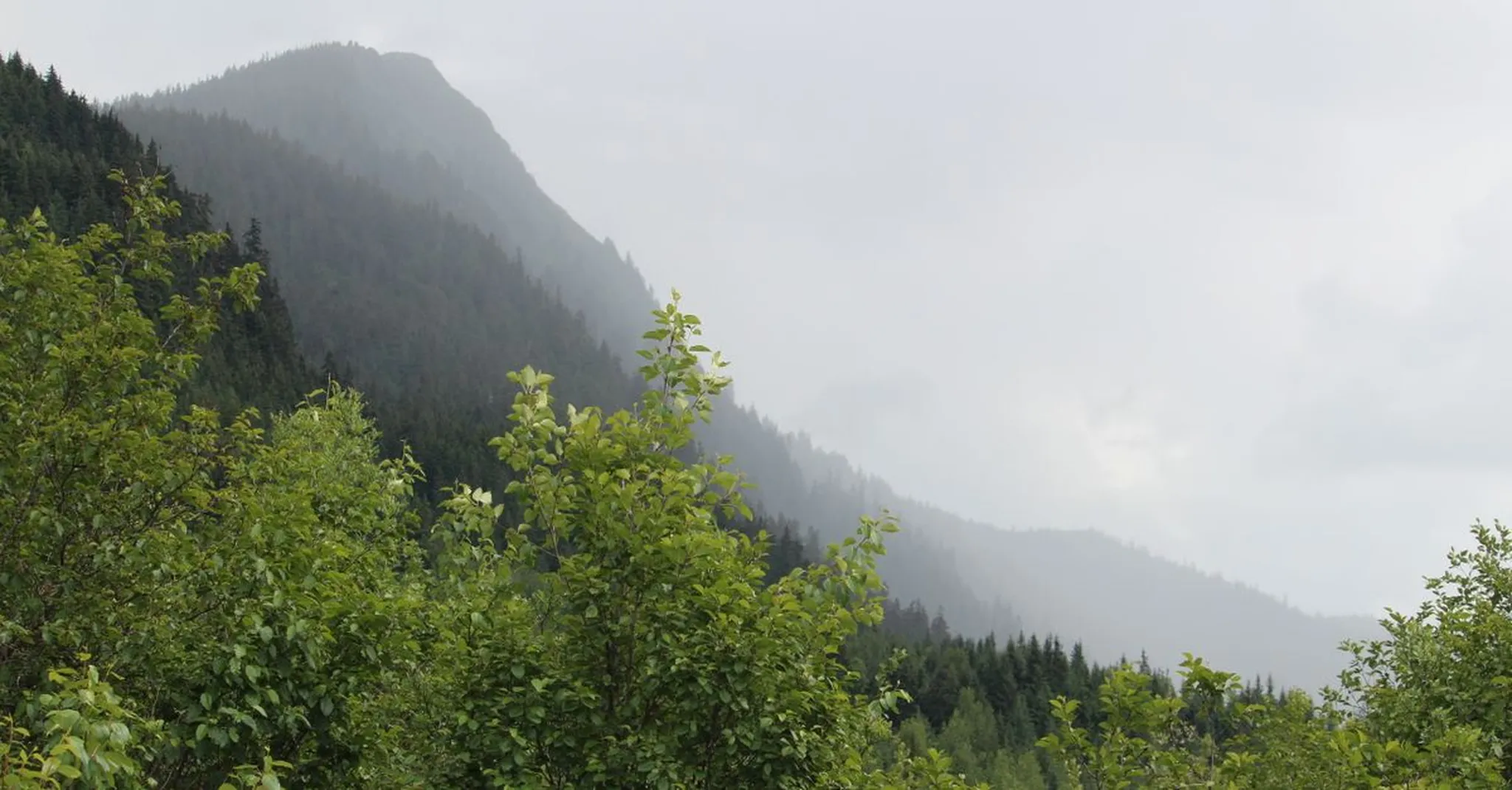 Mount Roberts Tramway Juneau 2026: A Guide to the Last Fall Rides