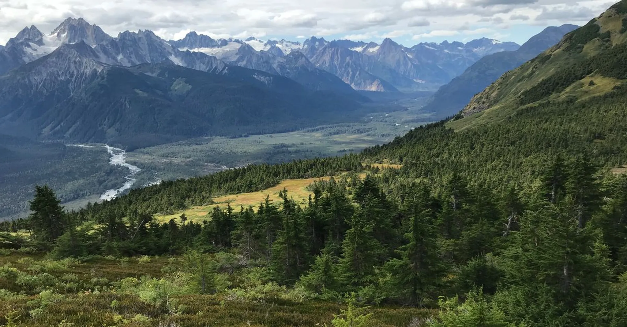 Best Vacation Rentals in Juneau 2026: Picking the Right Home for Your Alaska Trip