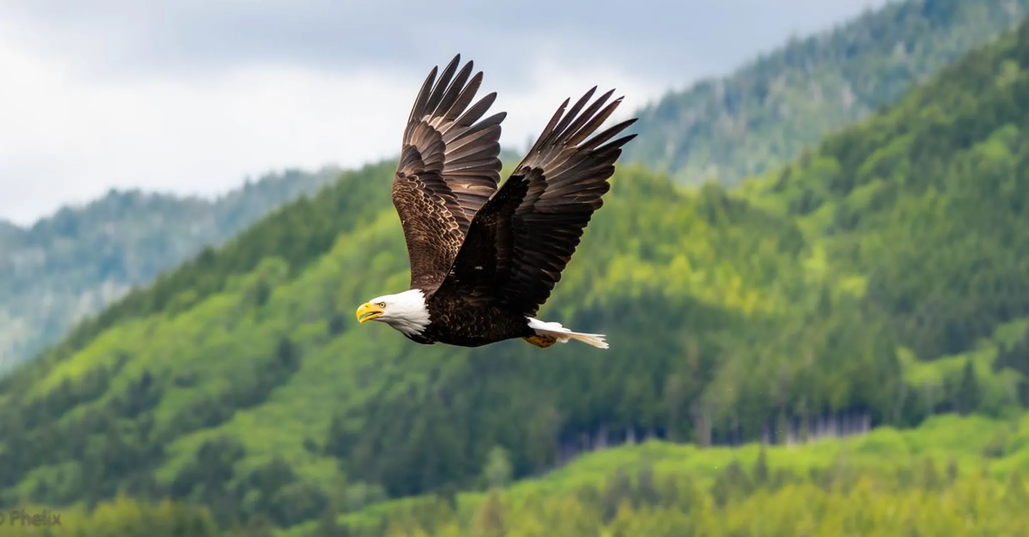 https://storage.googleapis.com/hostai-booking-prod-photos/clients/juneauvacationhomes/blogs/covers/ee04d151-bab6-4a89-8863-4ce08f2c4441.jpg