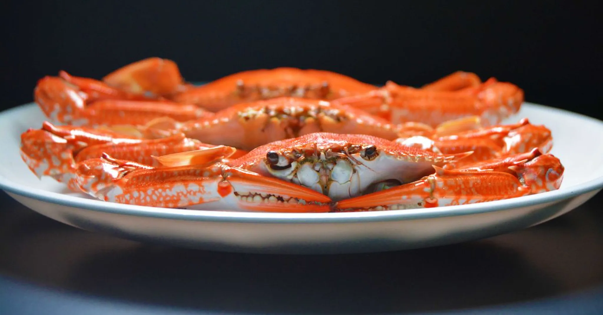 Fort Lauderdale Stone Crab Season 2026: Where to Eat and Stay