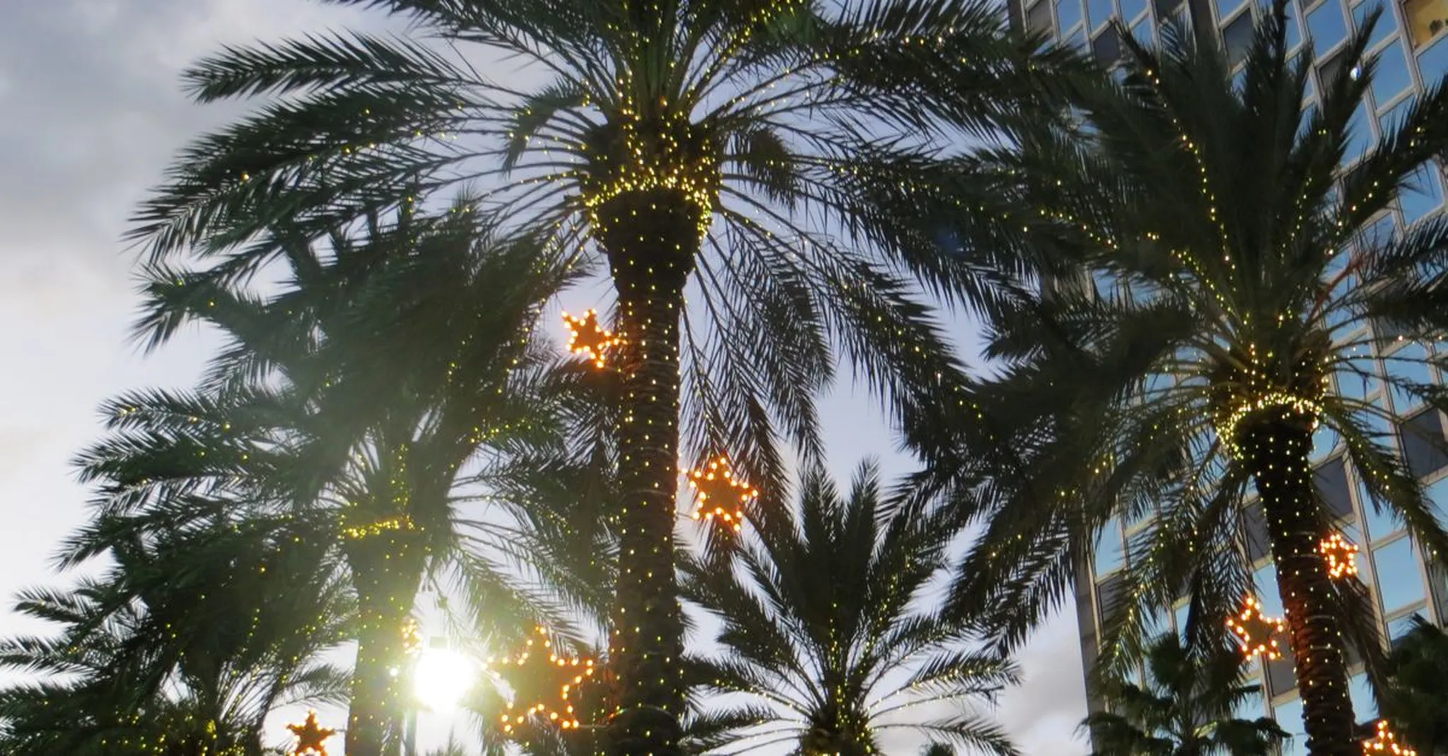 Christmas on Las Olas 2026: Fort Lauderdale's Biggest Street Party and Where to Stay