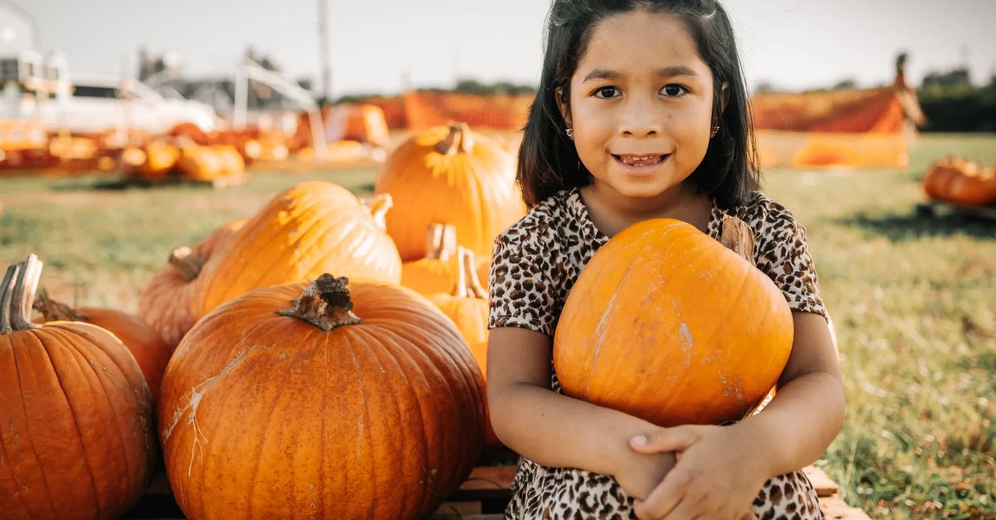 Franklin Pumpkinfest 2026: A Fall Day Trip from Nashville + Cozy Group Stays