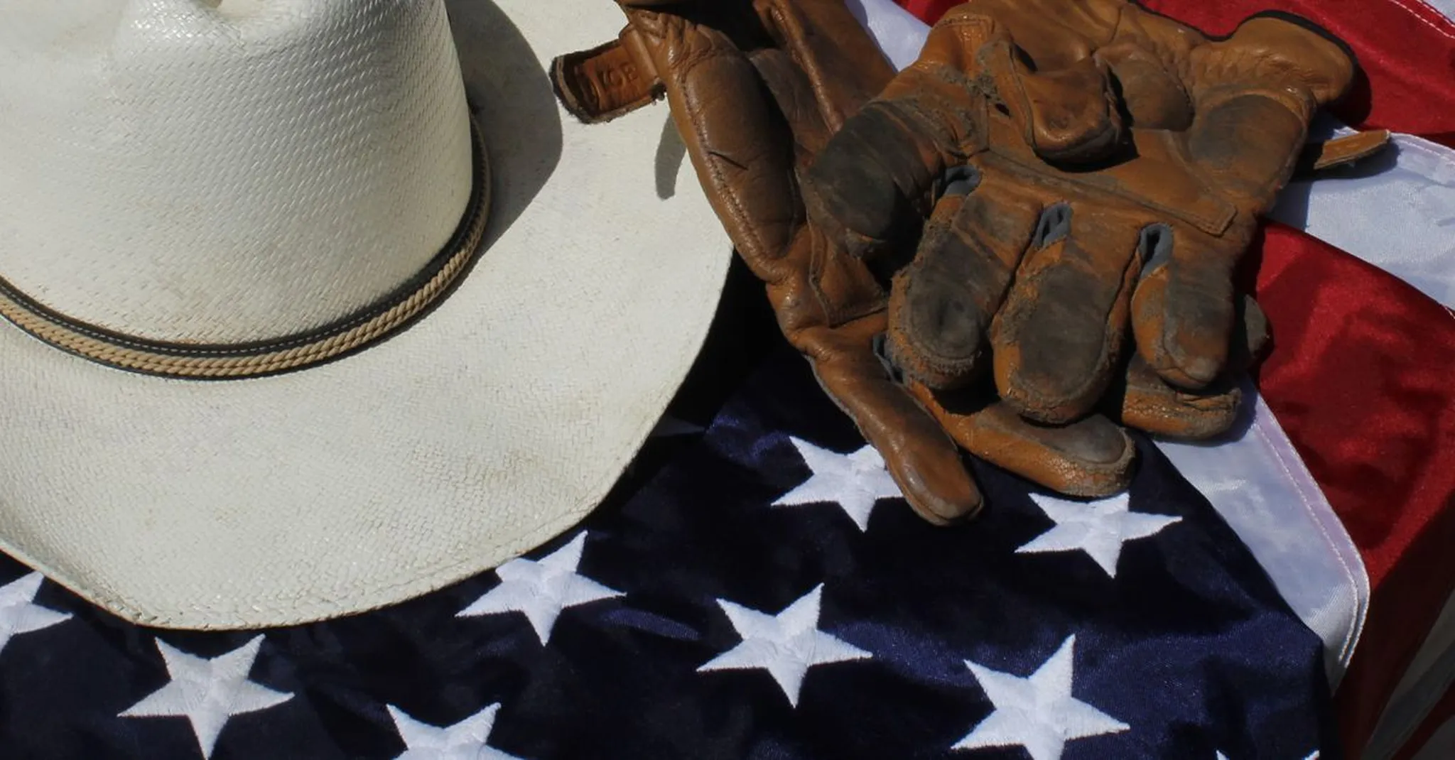 Veterans Day Weekend in Nashville 2026: Tributes, Free Museums & Group Stays