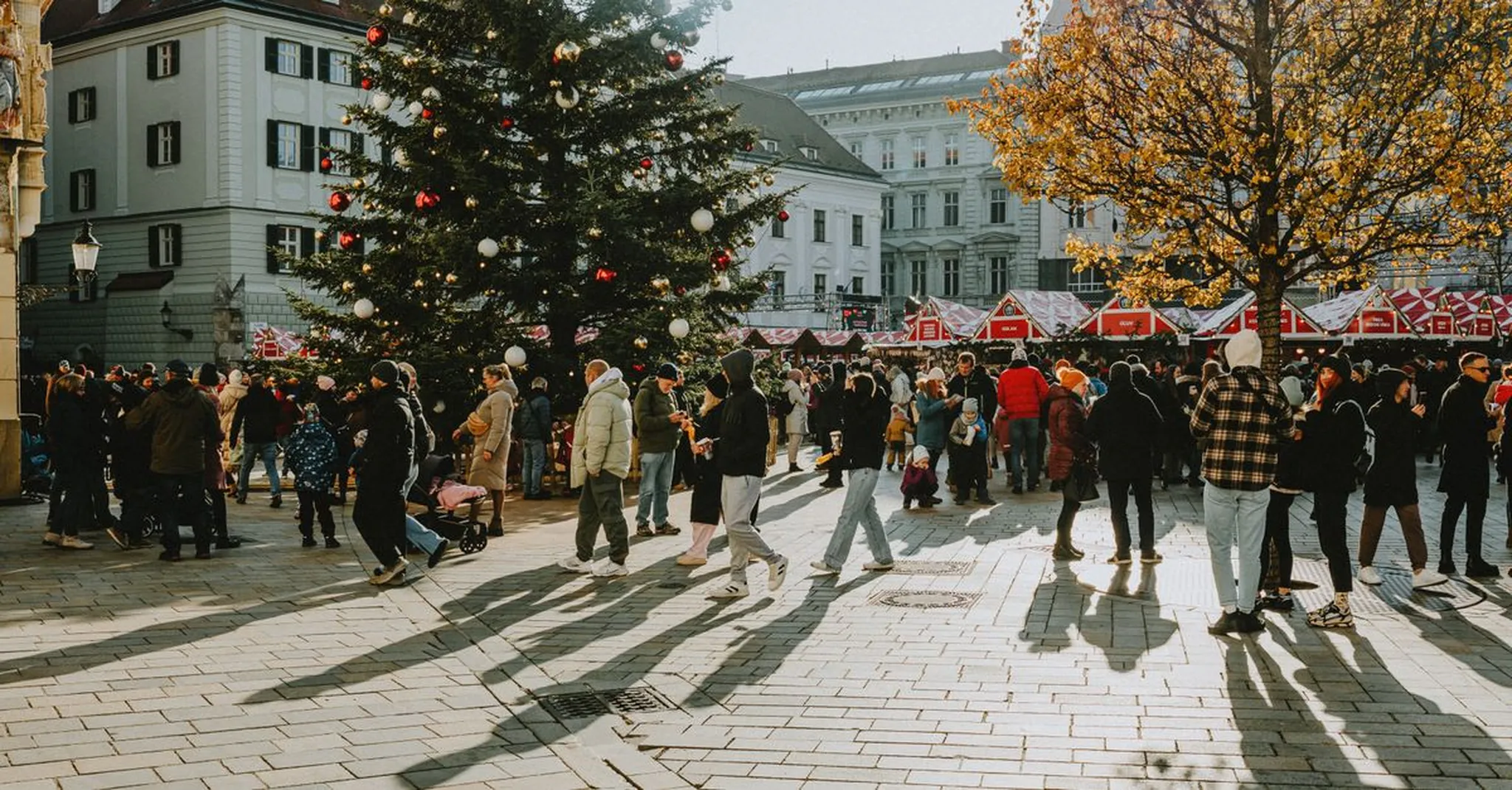 Derby Christmas Market 2026: Festive City Day Trips from Farnah Green and Belper