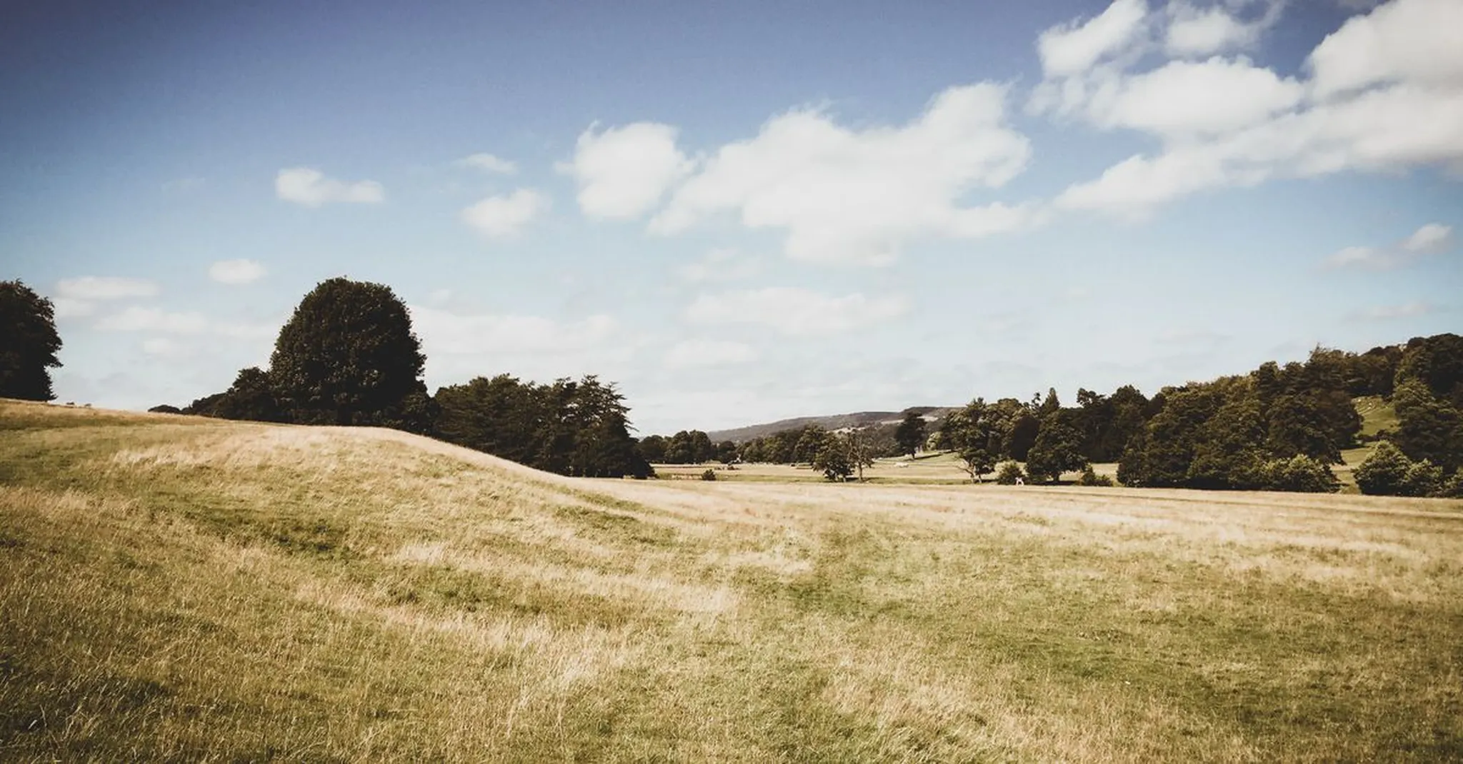 Wirksworth Festival 2026: Derbyshire's Art Trail Weekend Near Farnah Green