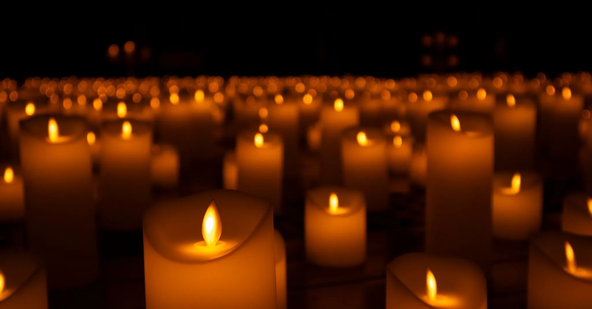 Nights of a Thousand Candles 2026: Brookgreen Gardens Guide from Myrtle Beach