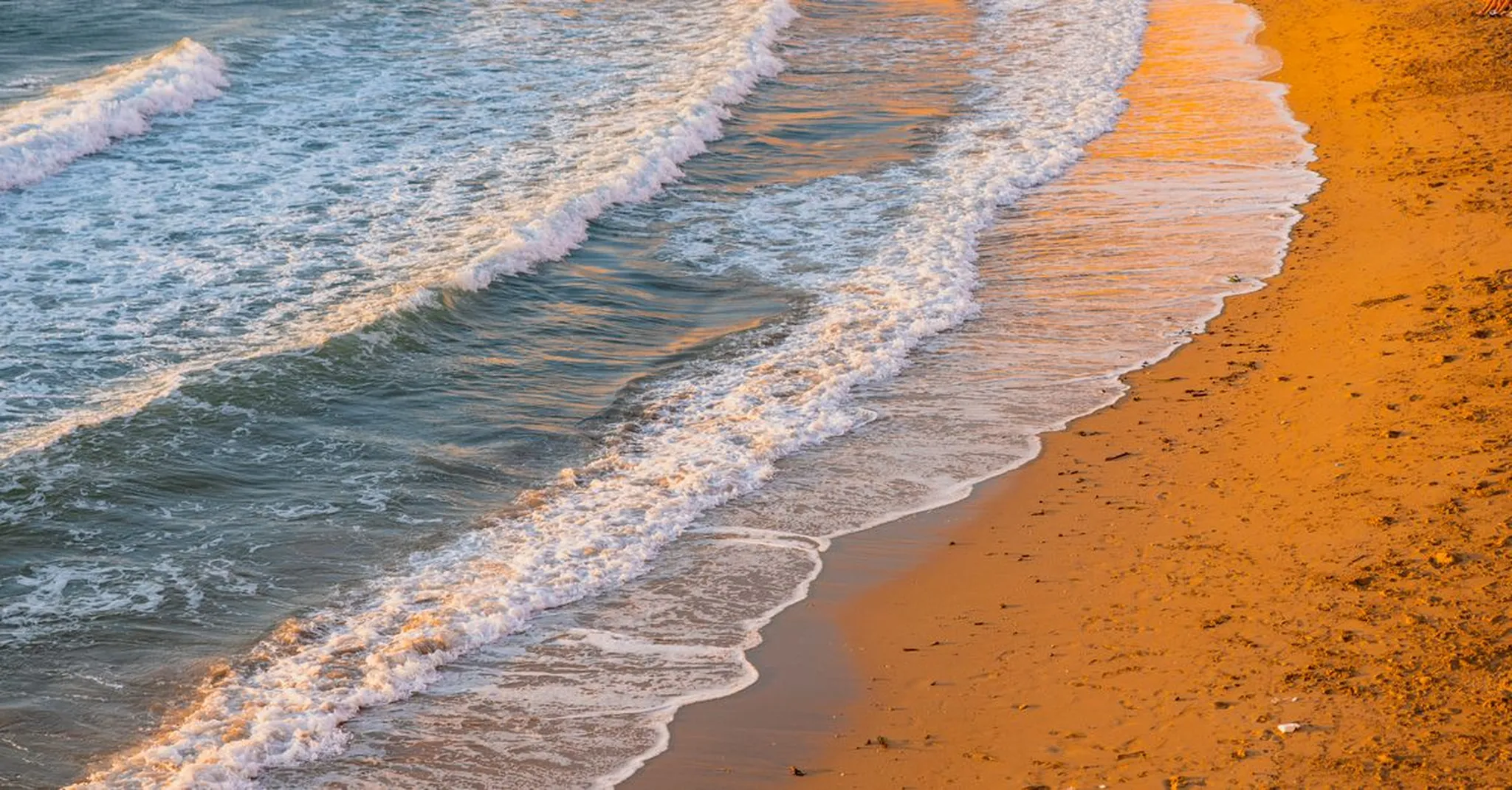 https://storage.googleapis.com/hostai-booking-prod-photos/clients/oceanvistabnb/blogs/covers/3233d9d1-caef-41cc-a8f3-1c3b82d85f6e.jpg