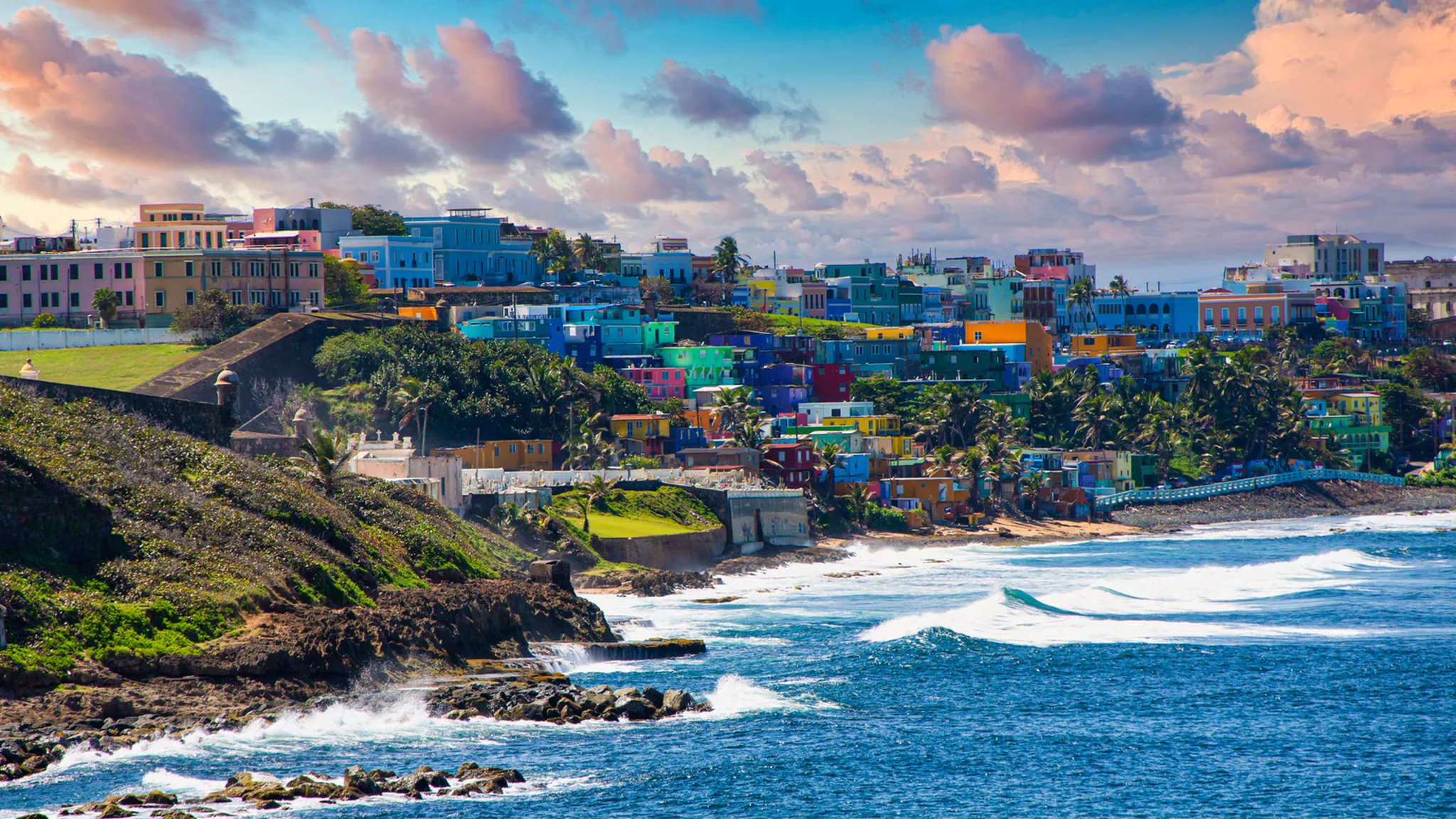 a city with palm trees and water in the background
