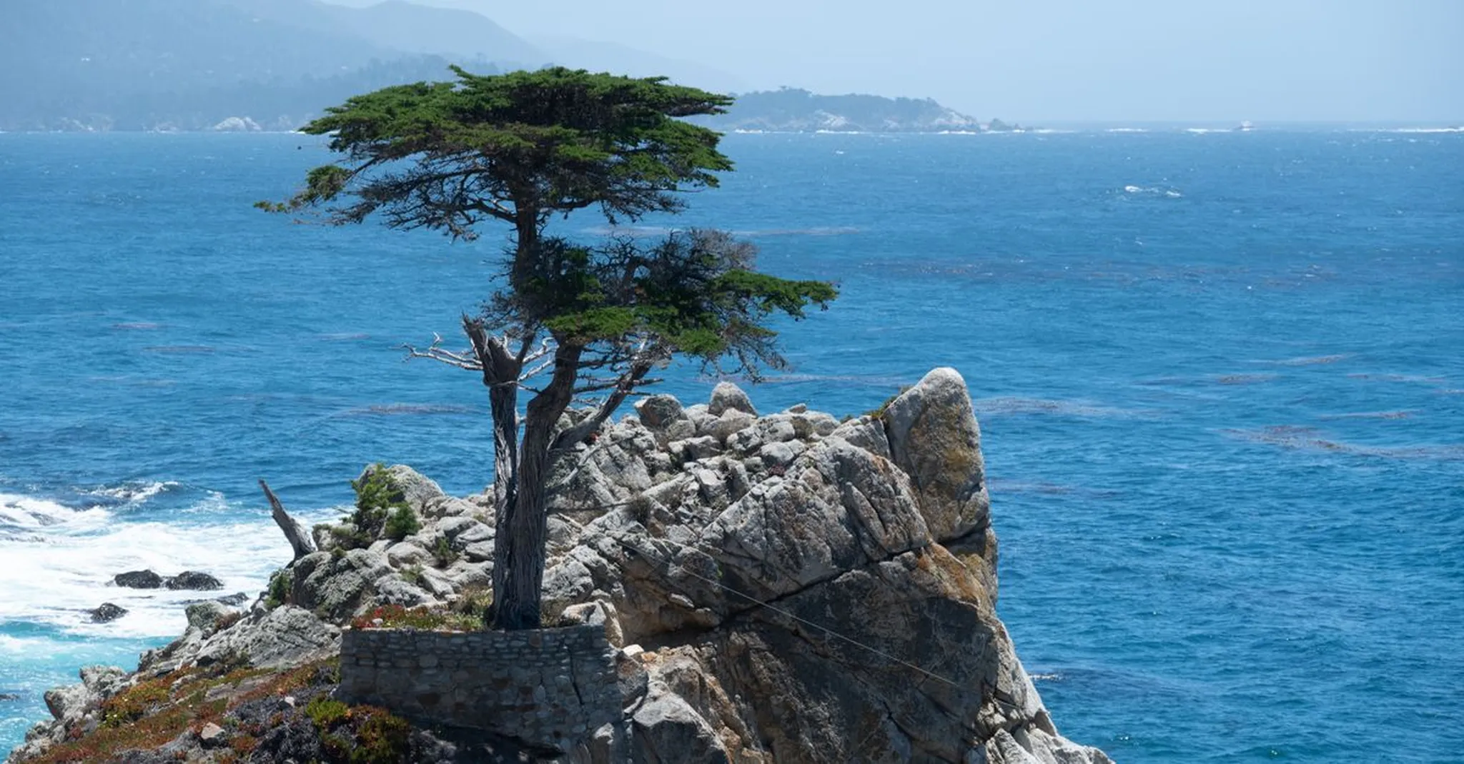 Rebels & Renegades Festival 2026: Where to Stay Near the Monterey Fairgrounds