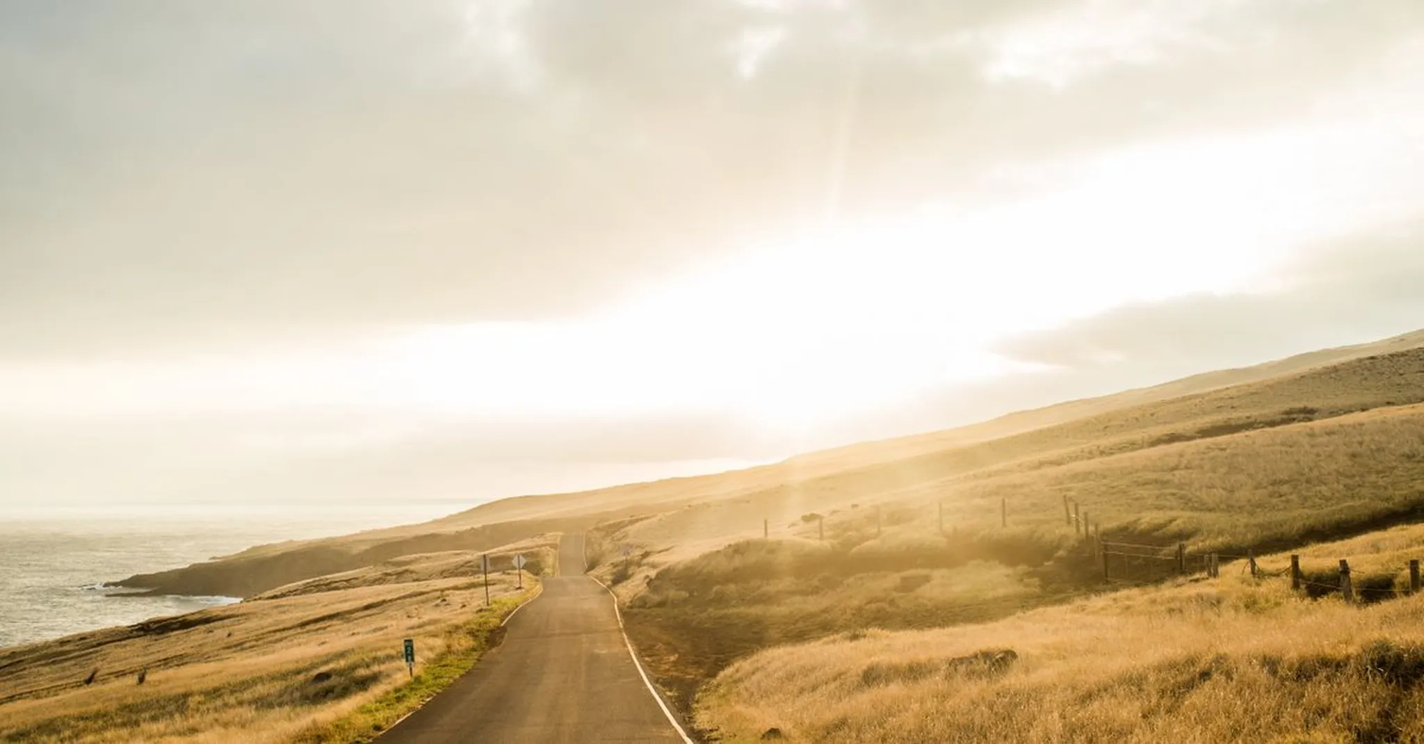 17-Mile Drive Without the Crowds: Early Morning & Off-Peak Tips