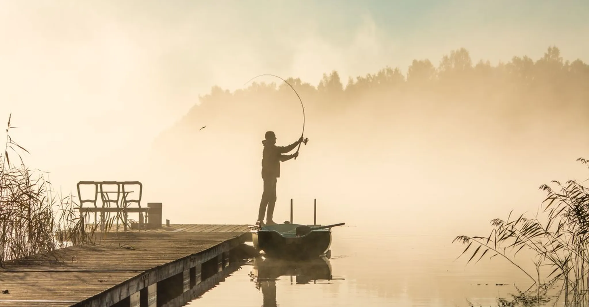 Bass Fishing Near Kingsland TX: Bait Shops, Gear & Lakeside Stays