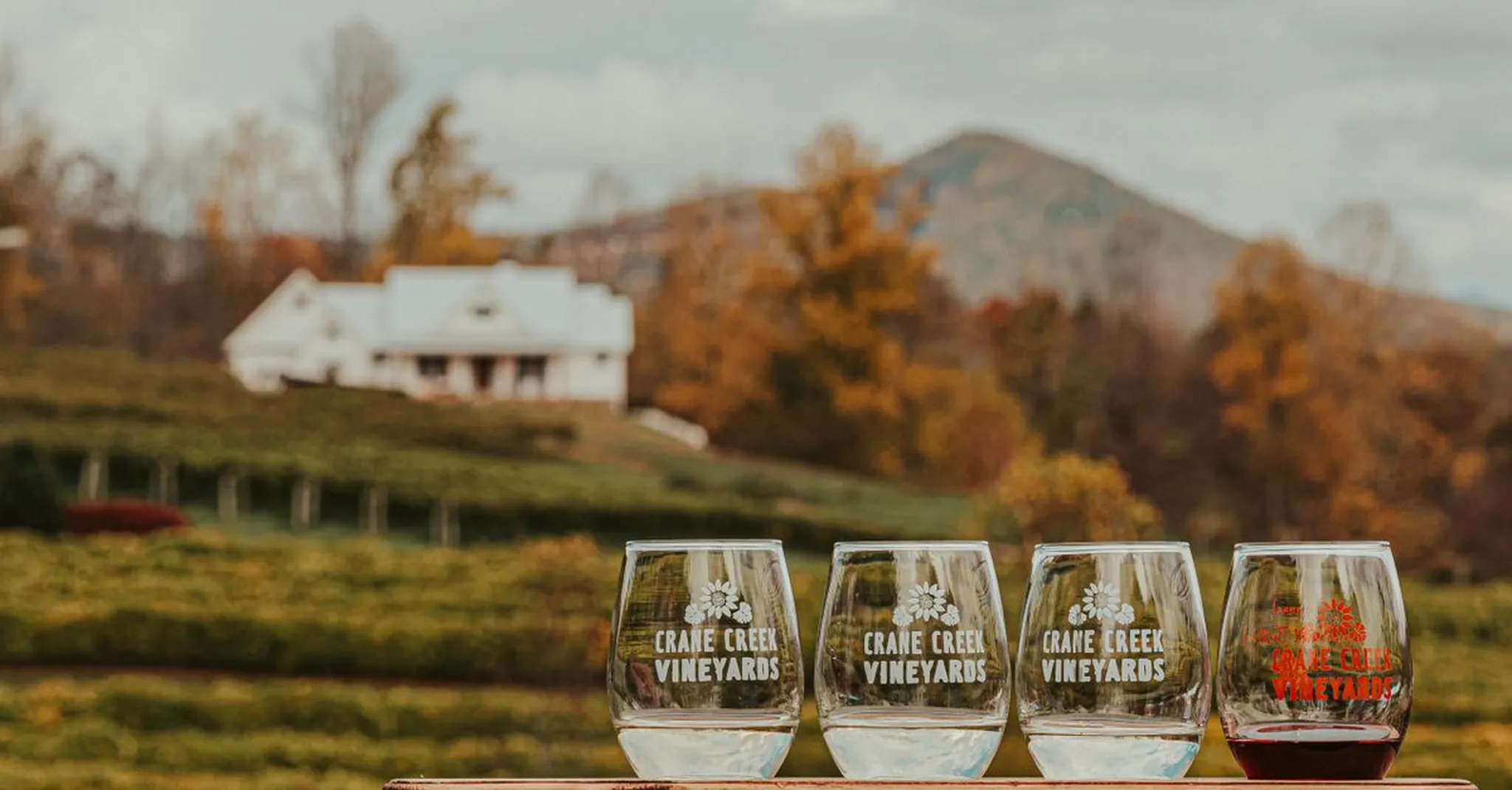 Fredericksburg Food & Wine Fest 2026: Festival Day Trip and Lake LBJ Stays