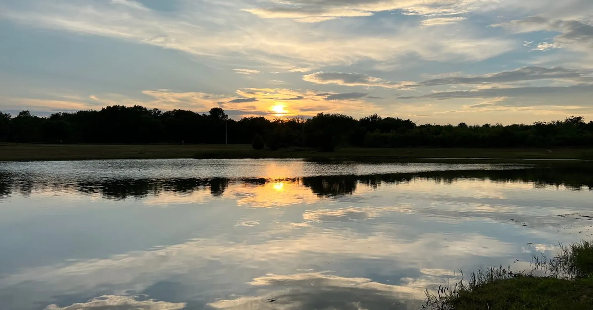 Bat Fest in Austin 2026: Where to Stay on Lake LBJ for the Weekend
