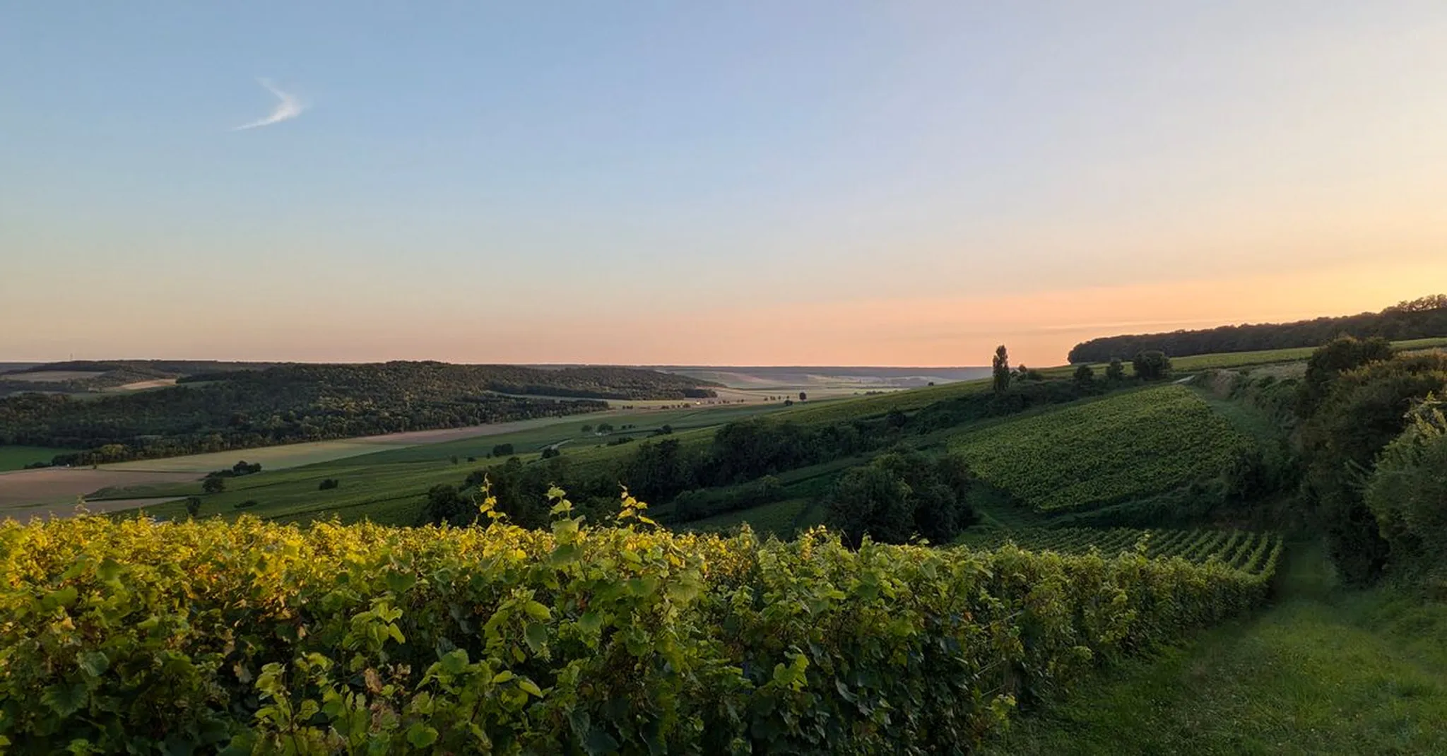 Fredericksburg Day Trip from Lake LBJ 2026: Wineries, Shops & Lakeside Stays