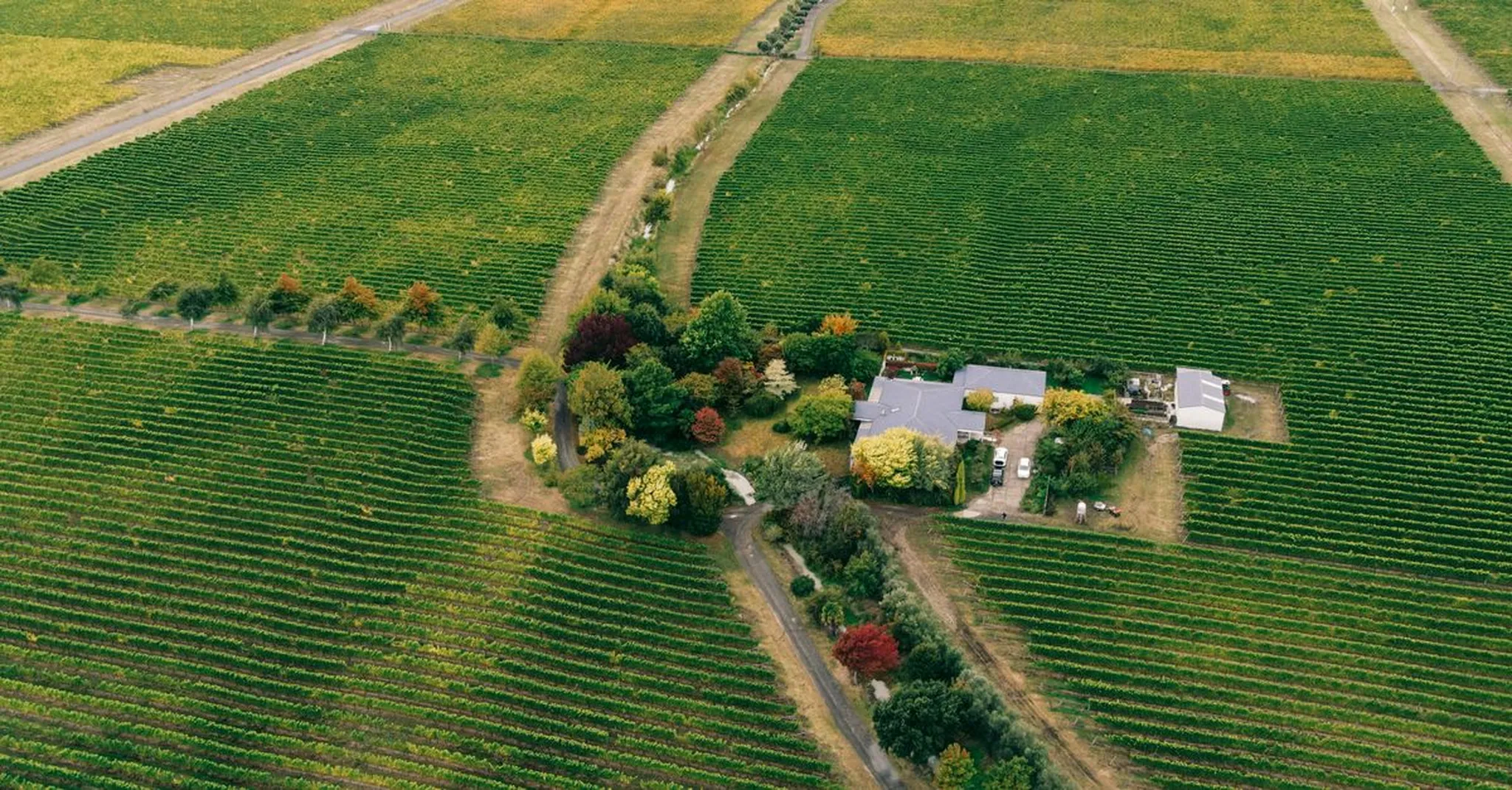 Toast to the Coast 2026: Bellarine Peninsula Wine Festival Weekend Guide
