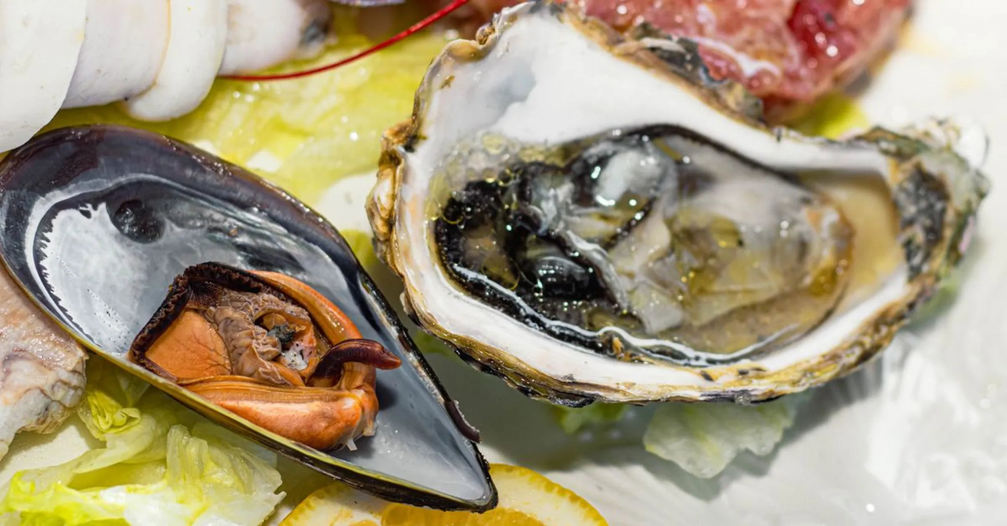 Portarlington Mussels and Bellarine Seafood: A Winter Foodie Day Out