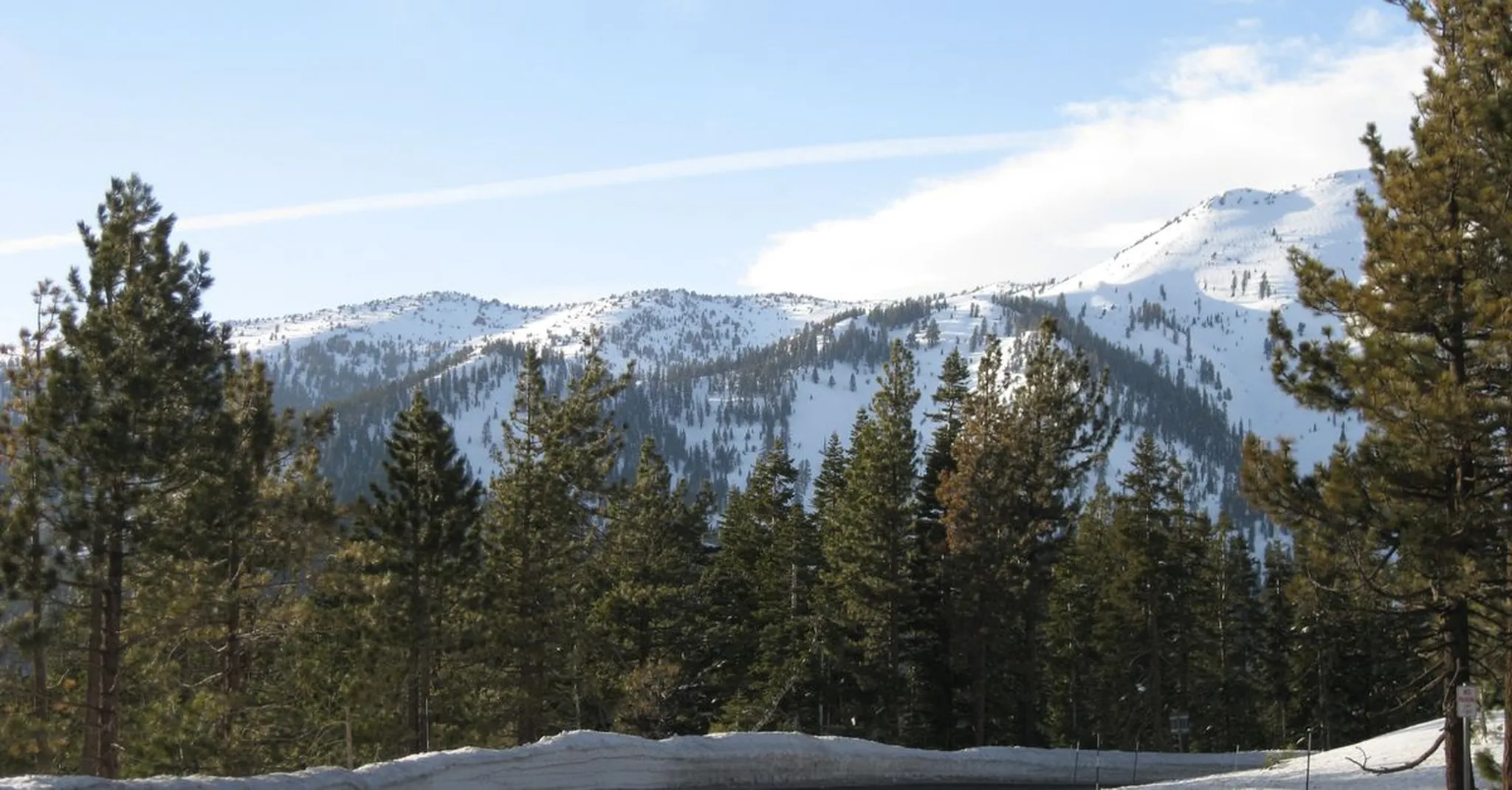 Halloween in Truckee and Lake Tahoe 2026: Family Events, Festivities and Cozy Stays