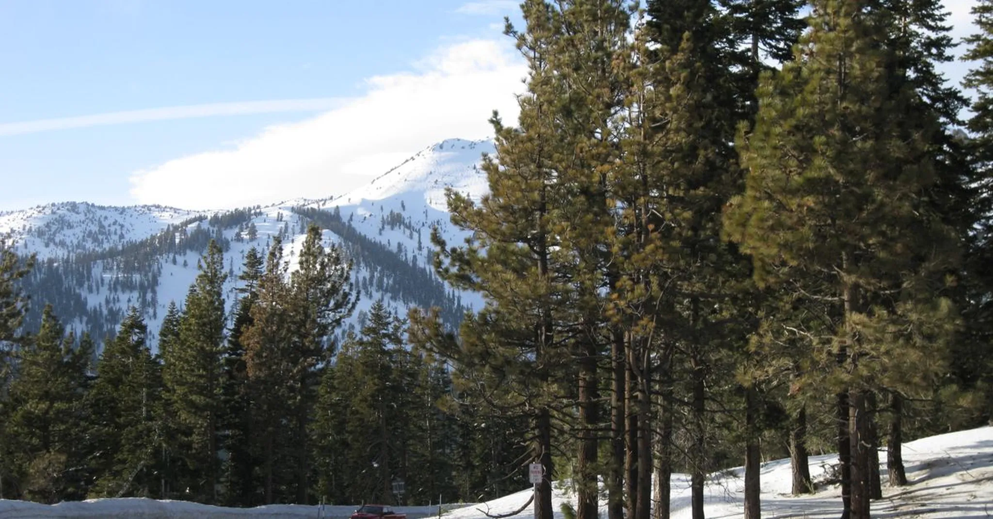 Lake Tahoe Fall Colors 2026: Peak Foliage Drives, Hikes & Cozy Cabins