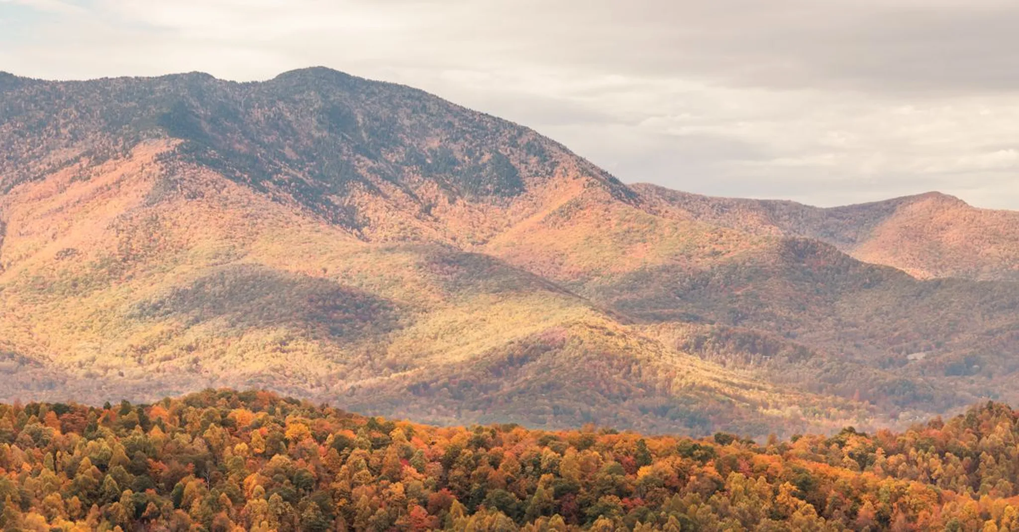 Halloween in the Smoky Mountains 2026: Family Fun, Spooky Events & Cabin Stays