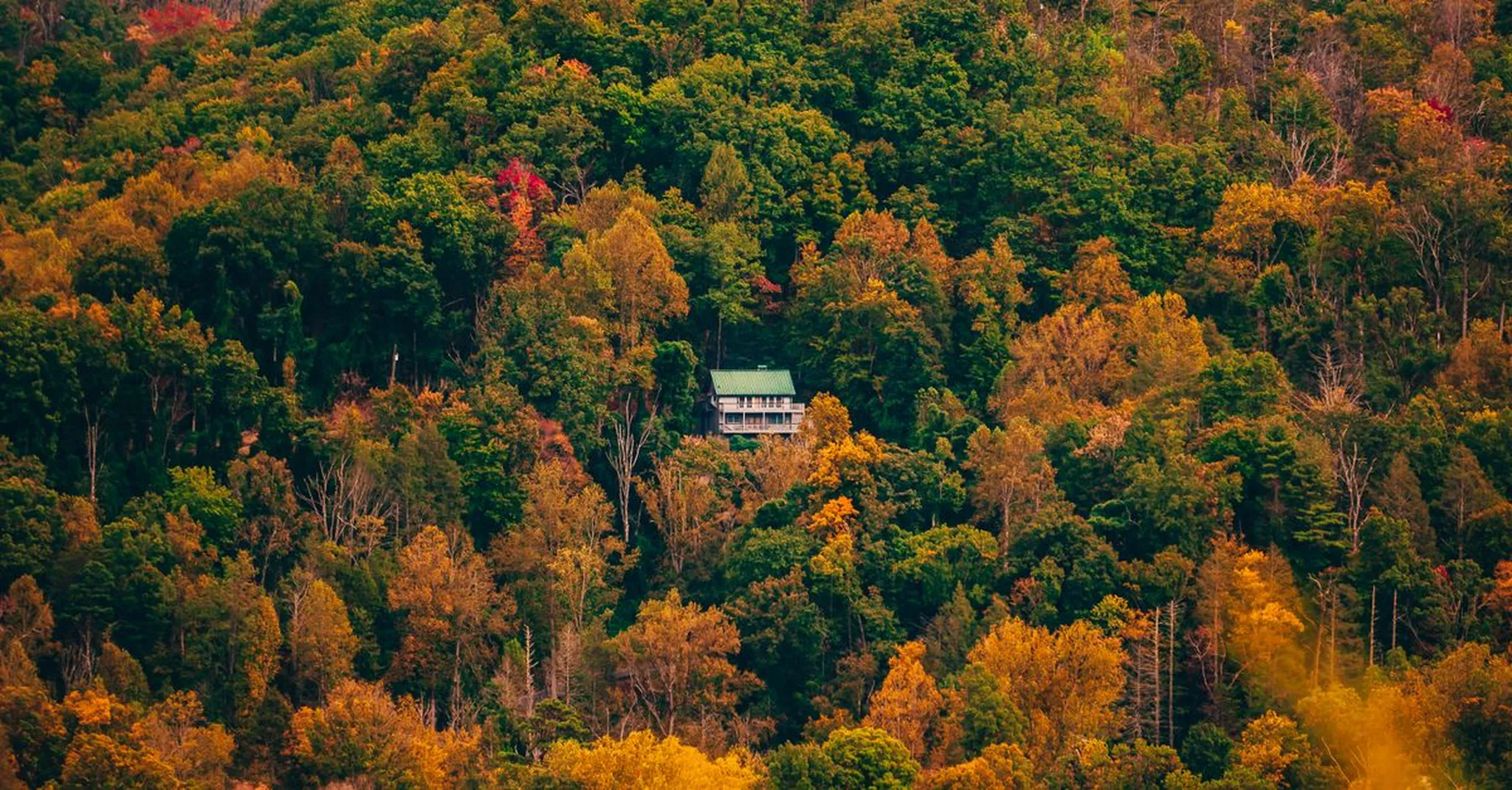 Columbus Day Weekend 2026 in the Smokies: Sevierville Cabin Escapes