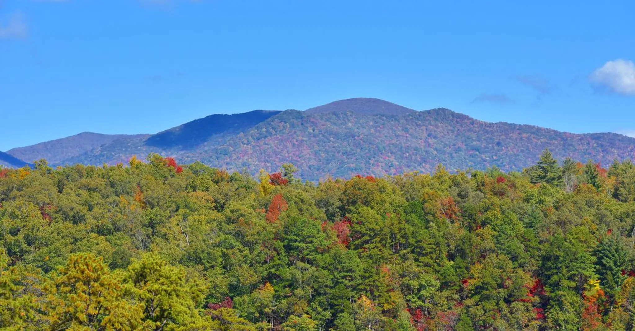 https://storage.googleapis.com/hostai-booking-prod-photos/clients/smokymountainvacationcabins/blogs/covers/9af94d30-273d-40ac-84e1-12ca7e4ce257.jpg