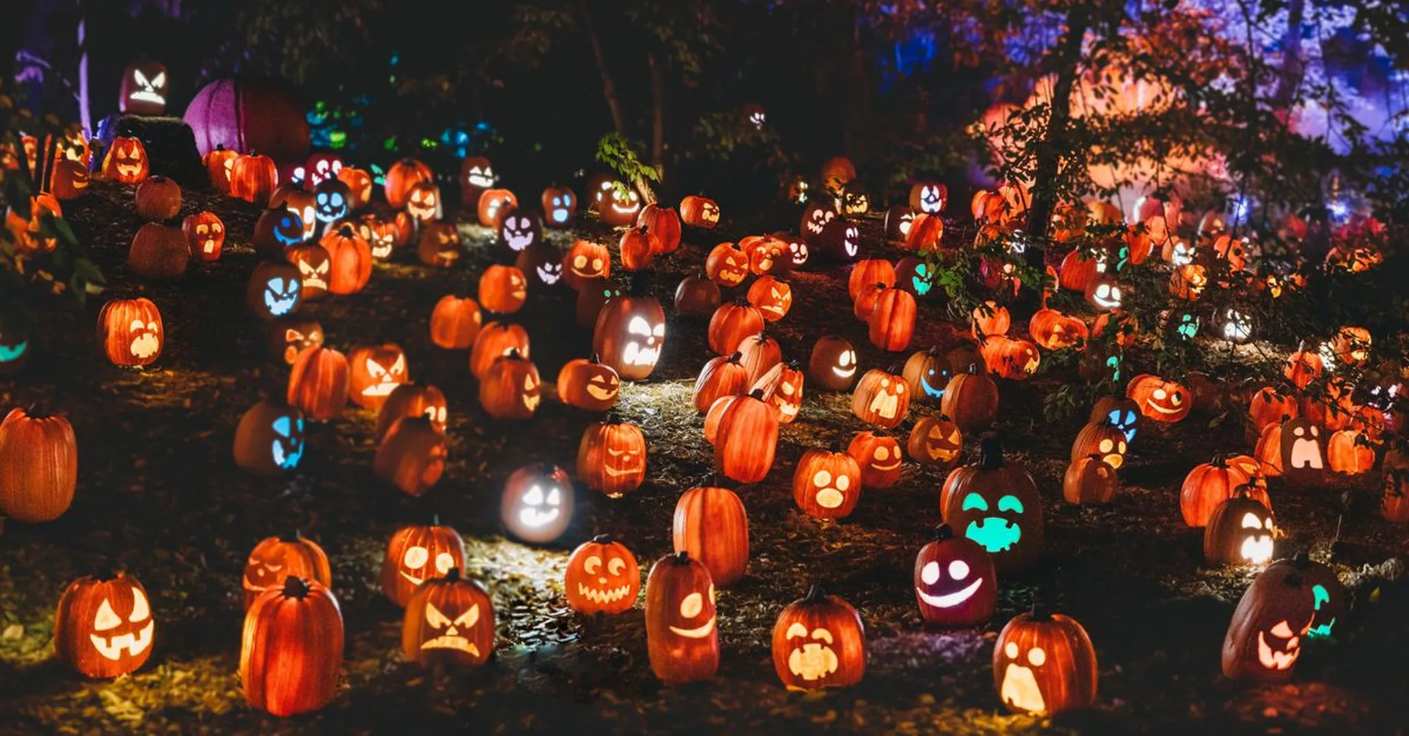 Dollywood Great Pumpkin LumiNights 2026: Best Sevierville Cabins Nearby