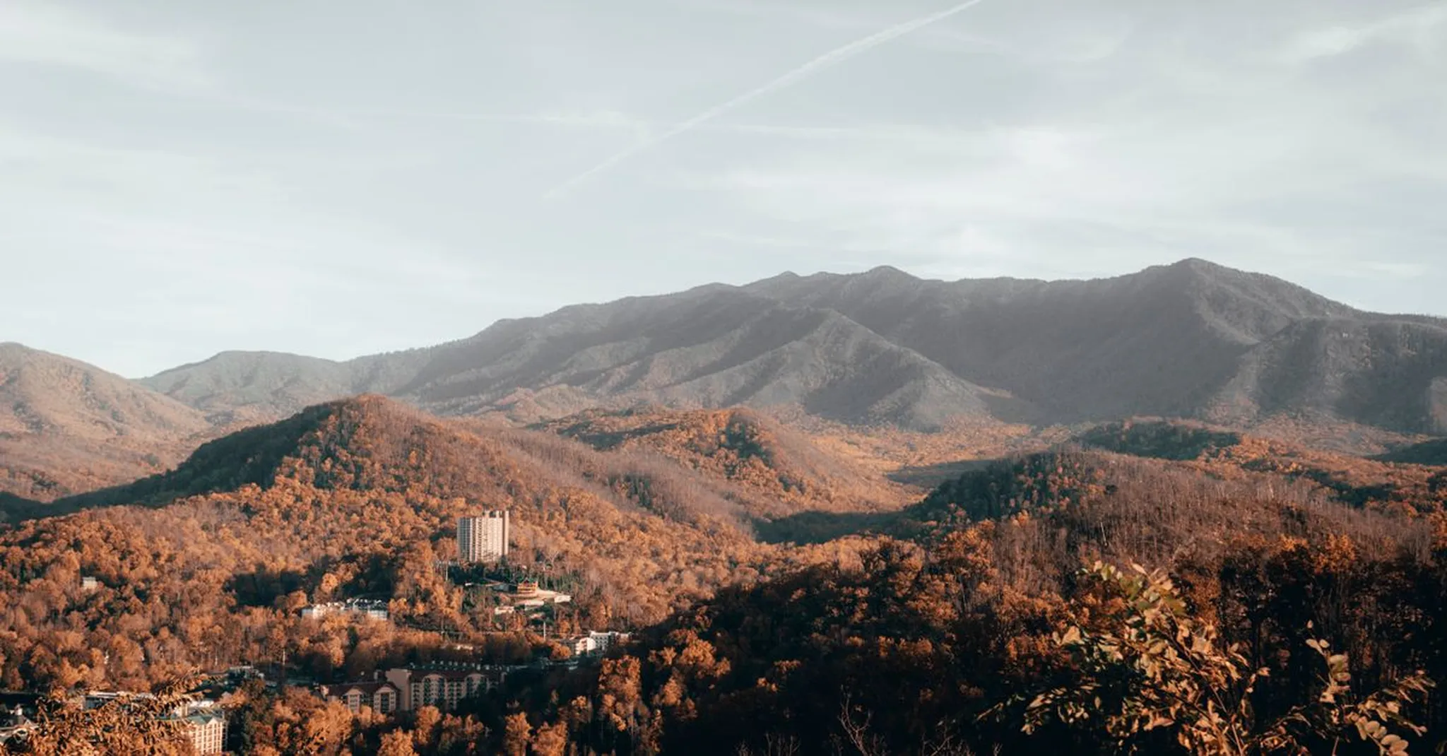 Thanksgiving in the Smoky Mountains 2026: Big Cabins for Family Gatherings