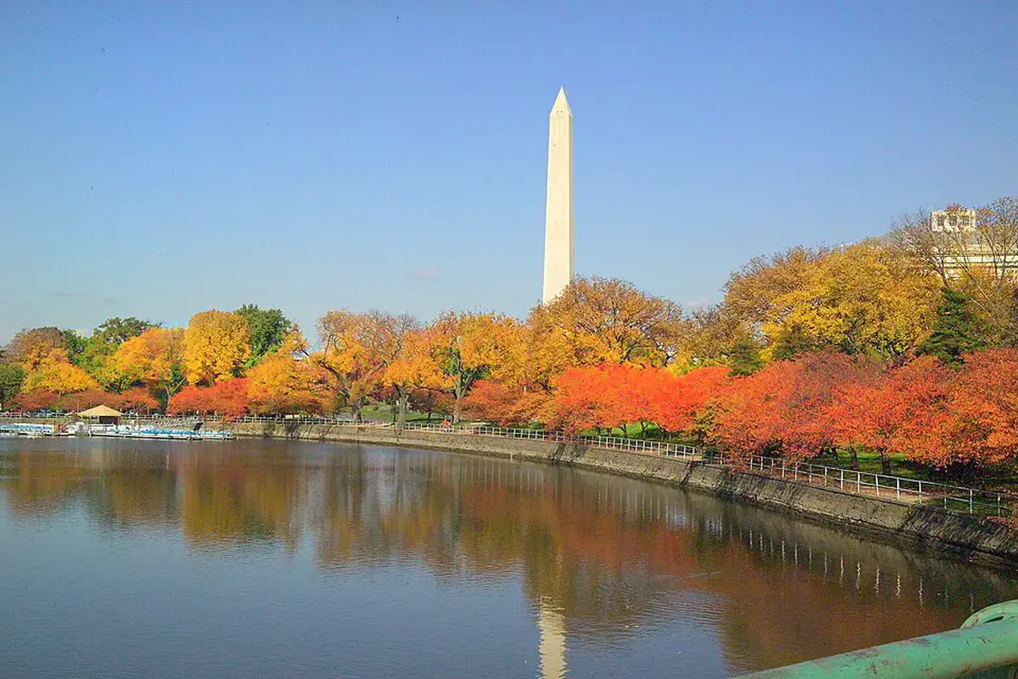 Moving to Washington, DC for the Fall: A Season of Opportunity, Culture, and Discovery